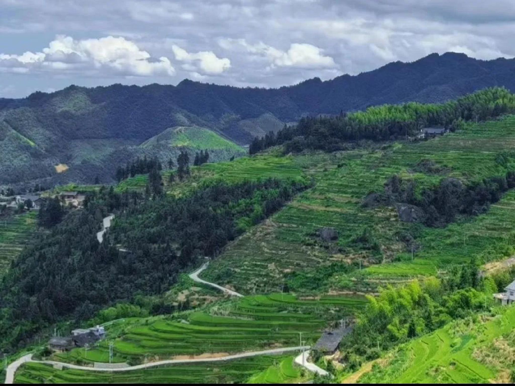 溆浦山背花瑶梯田景区旅行图片 3