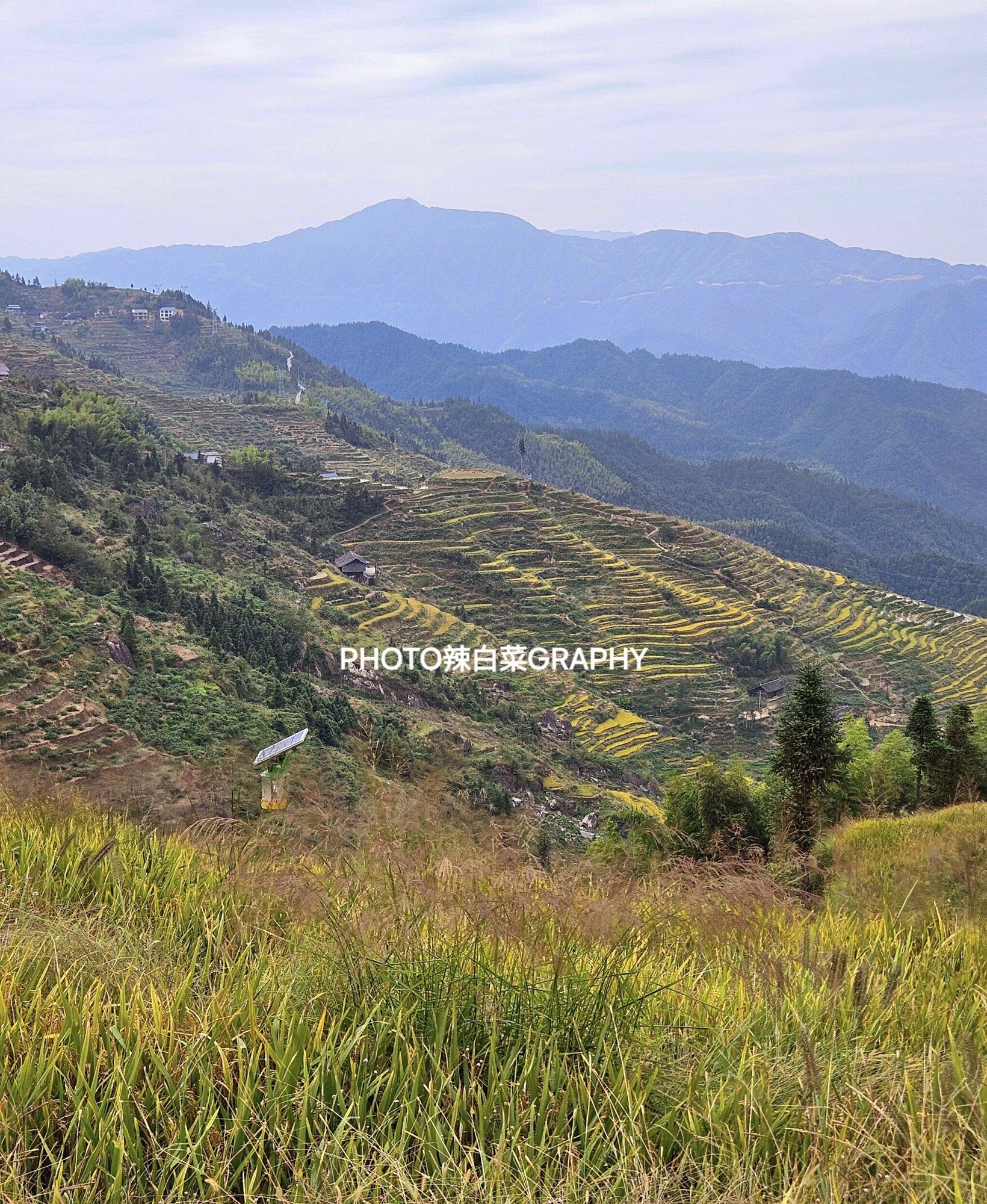 溆浦山背花瑶梯田景区旅行图片 3