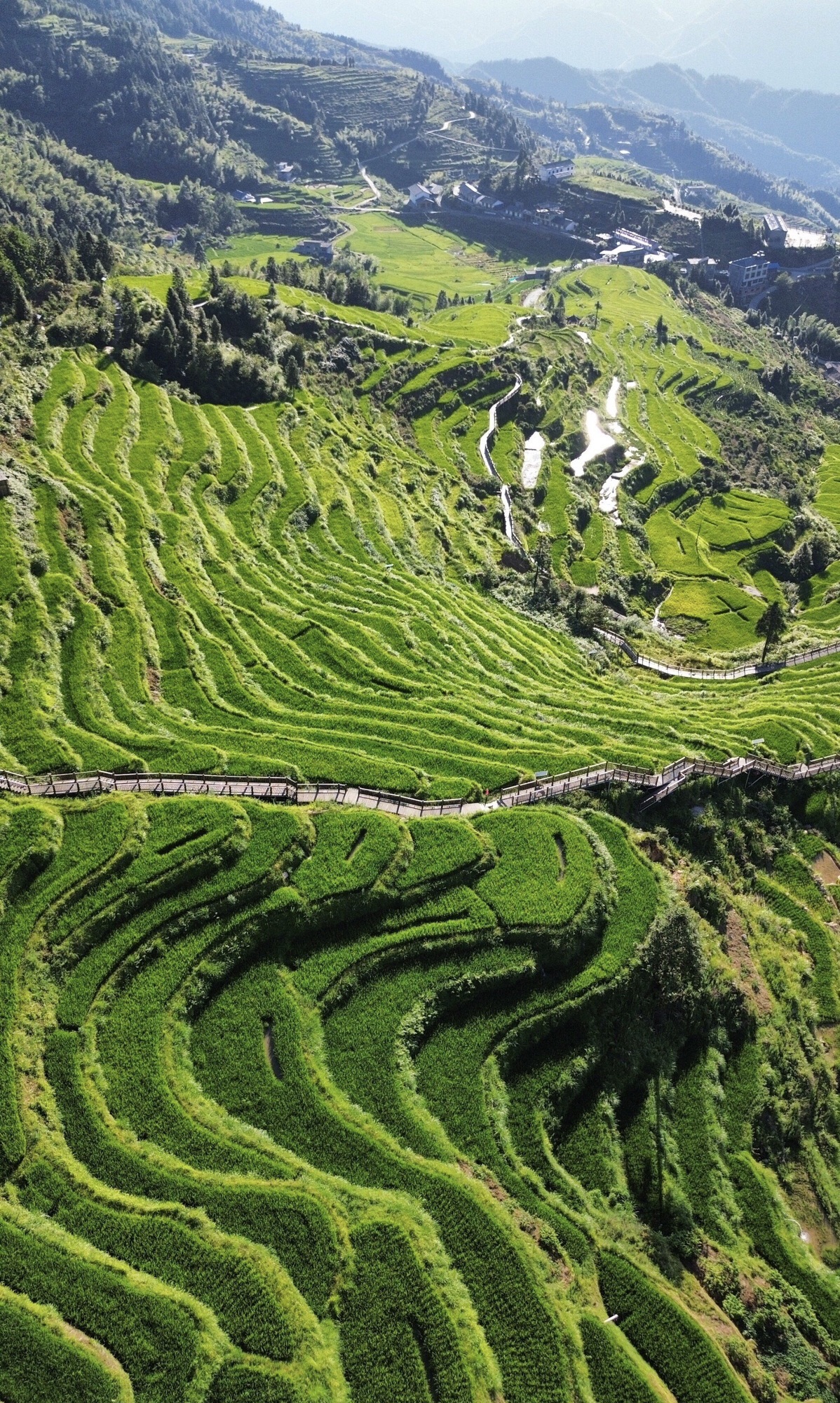 溆浦山背花瑶梯田景区旅行图片 2