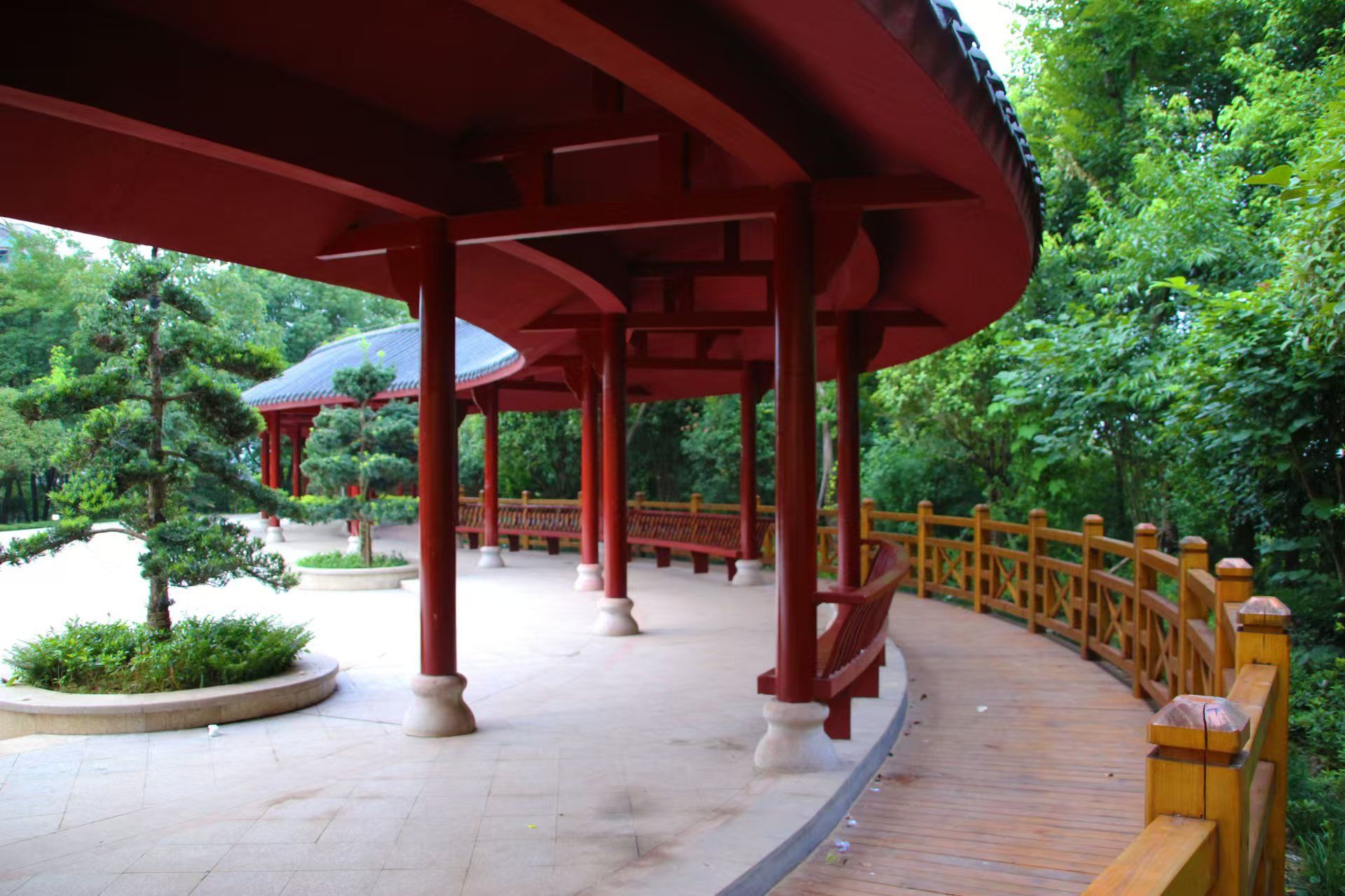 溆浦山背花瑶梯田景区旅行图片 2