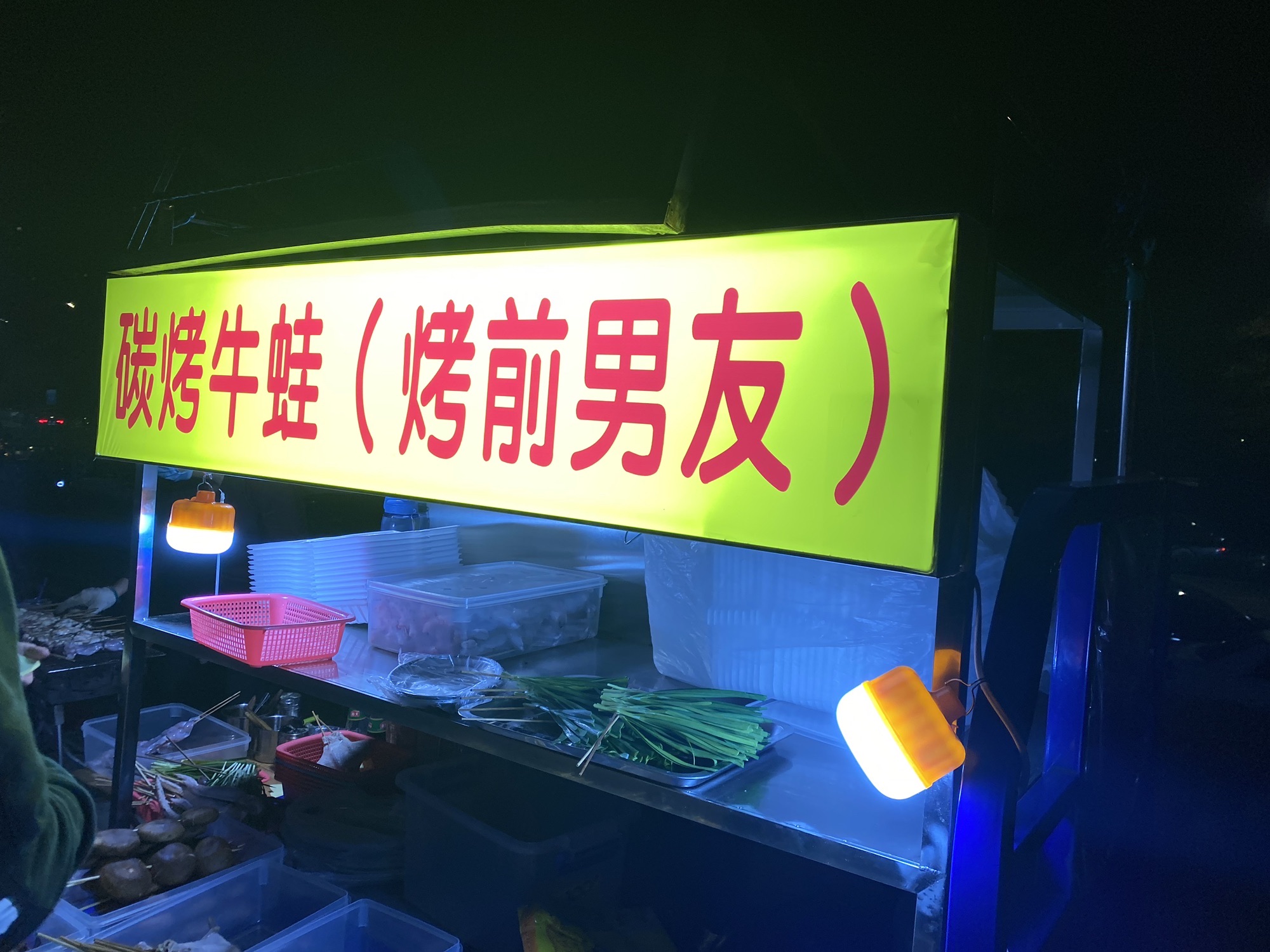 情侣公园旅行图片 3