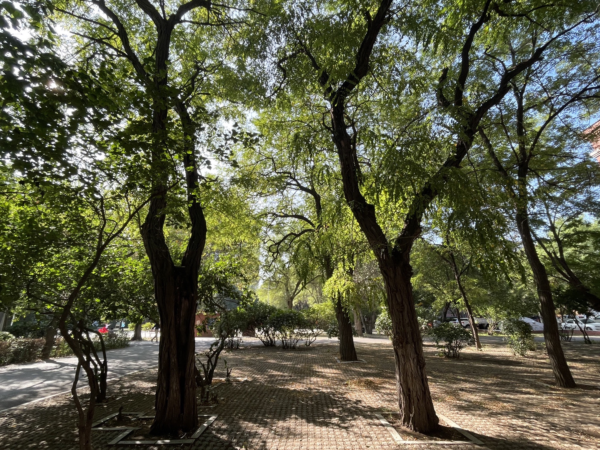 铁西工人村历史建筑群旅行图片 2