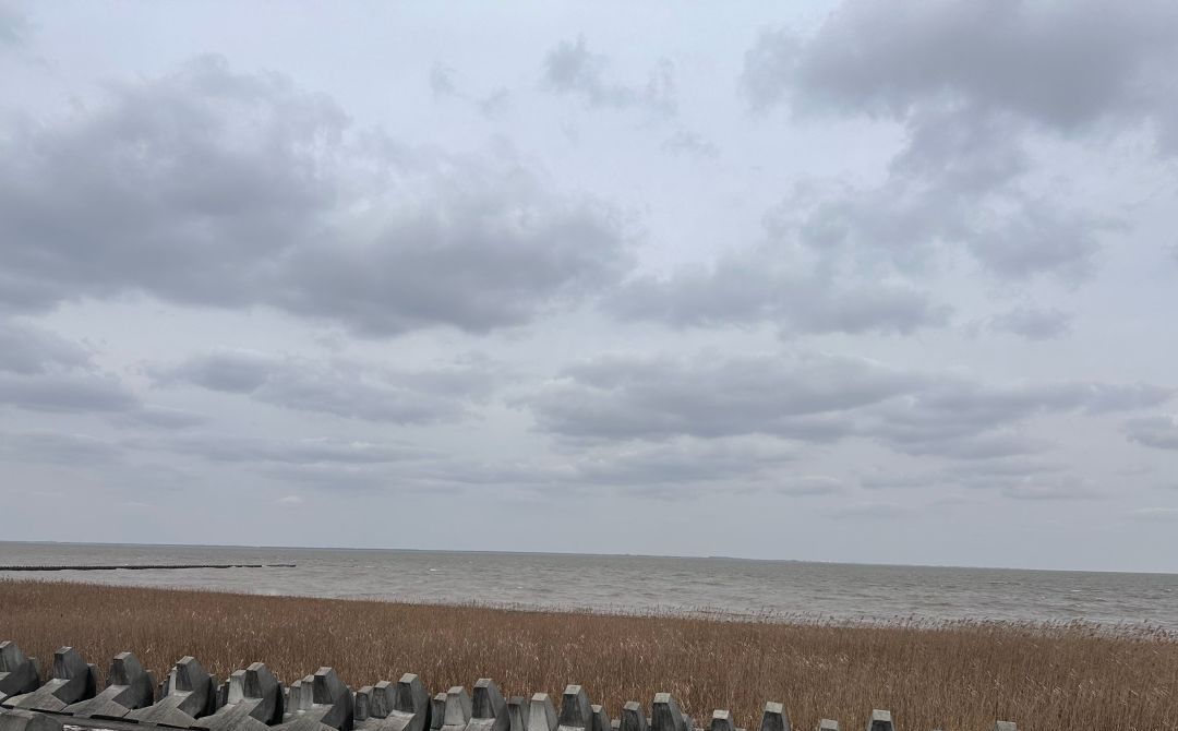 横沙岛湿地旅行图片 2