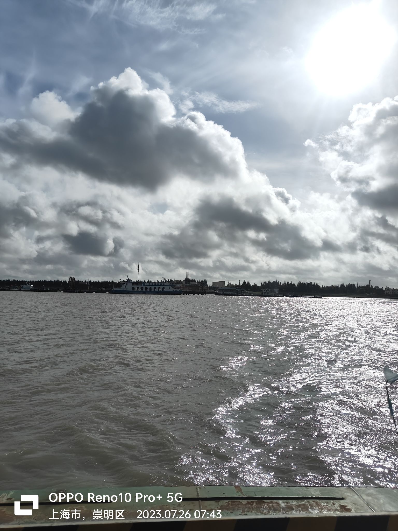 横沙岛湿地旅行图片 1