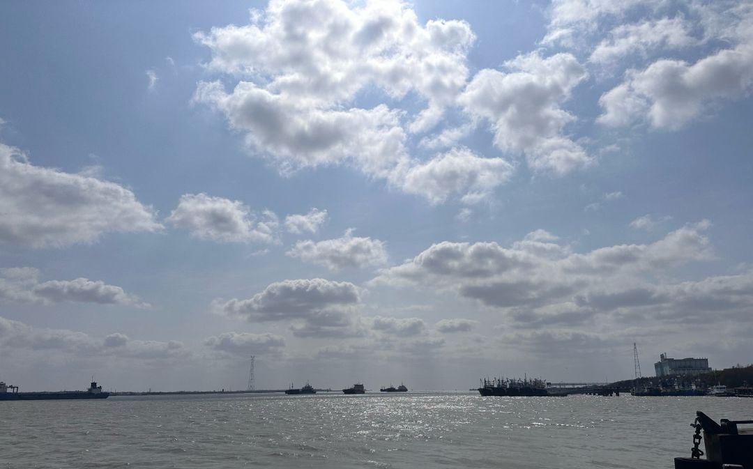 横沙岛湿地旅行图片 1