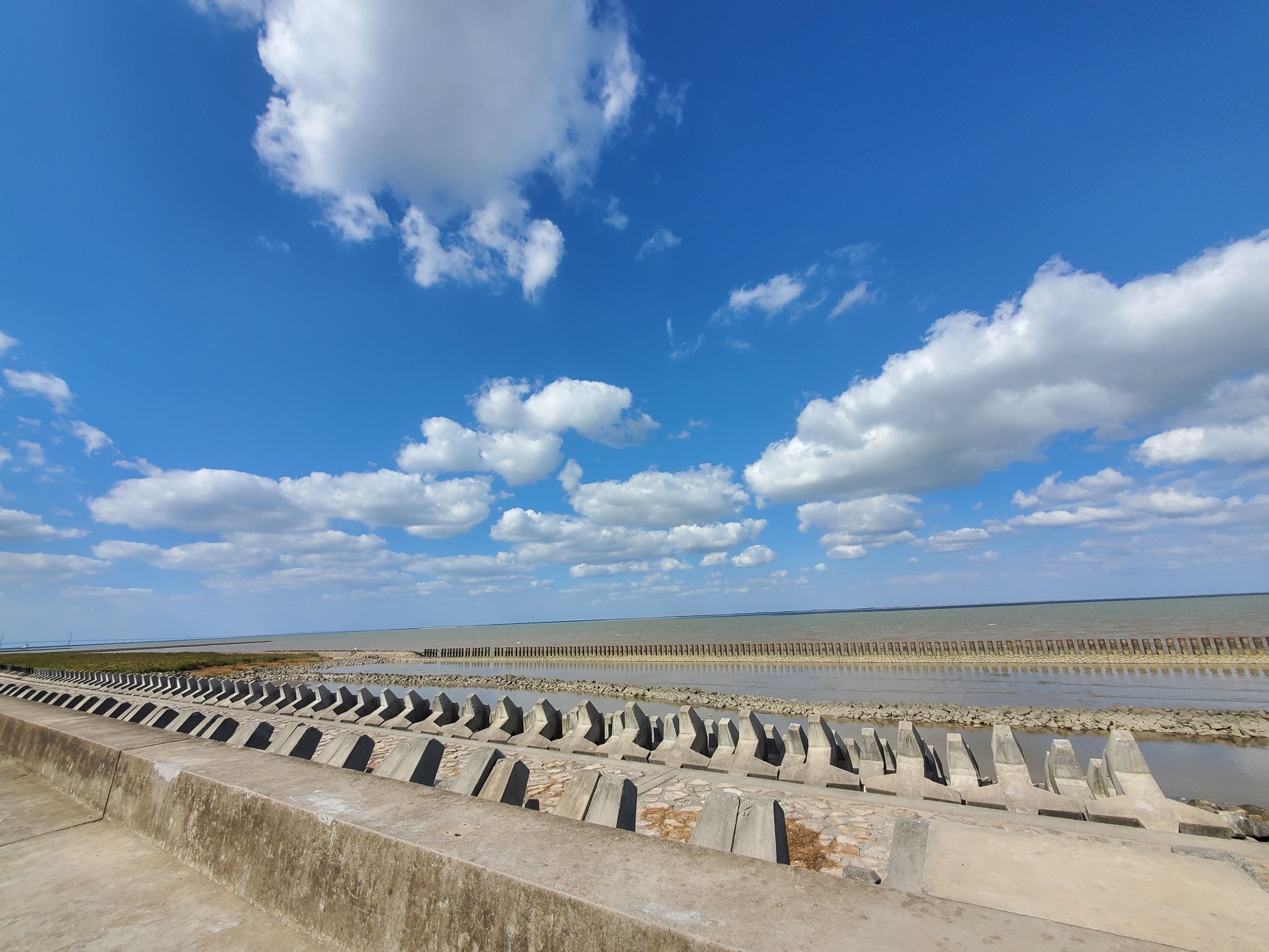 横沙岛湿地旅行图片 3