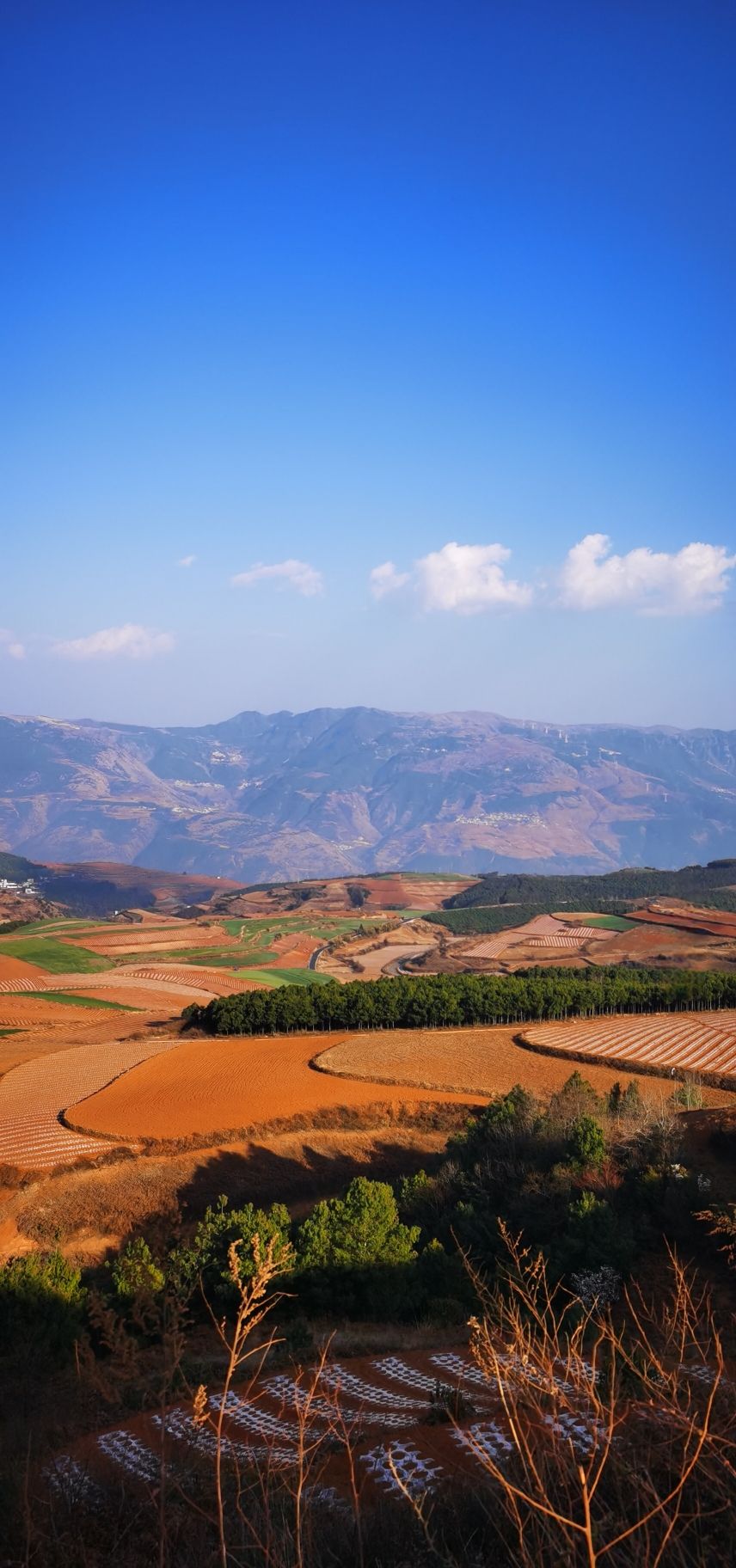 锦绣园