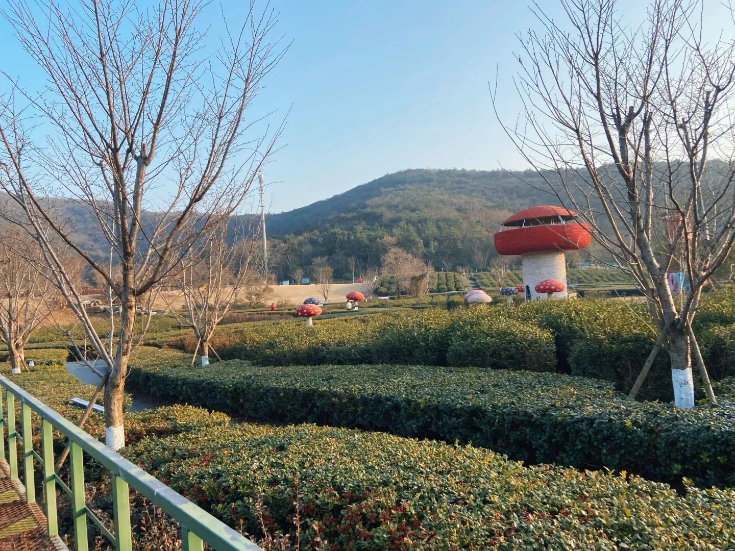 常州太湖湾竺山湖小镇旅行图片 3