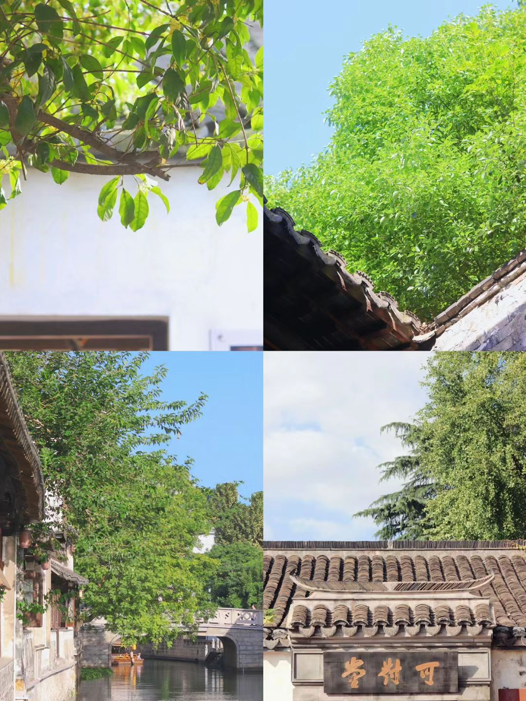 常州太湖湾竺山湖小镇旅行图片 3