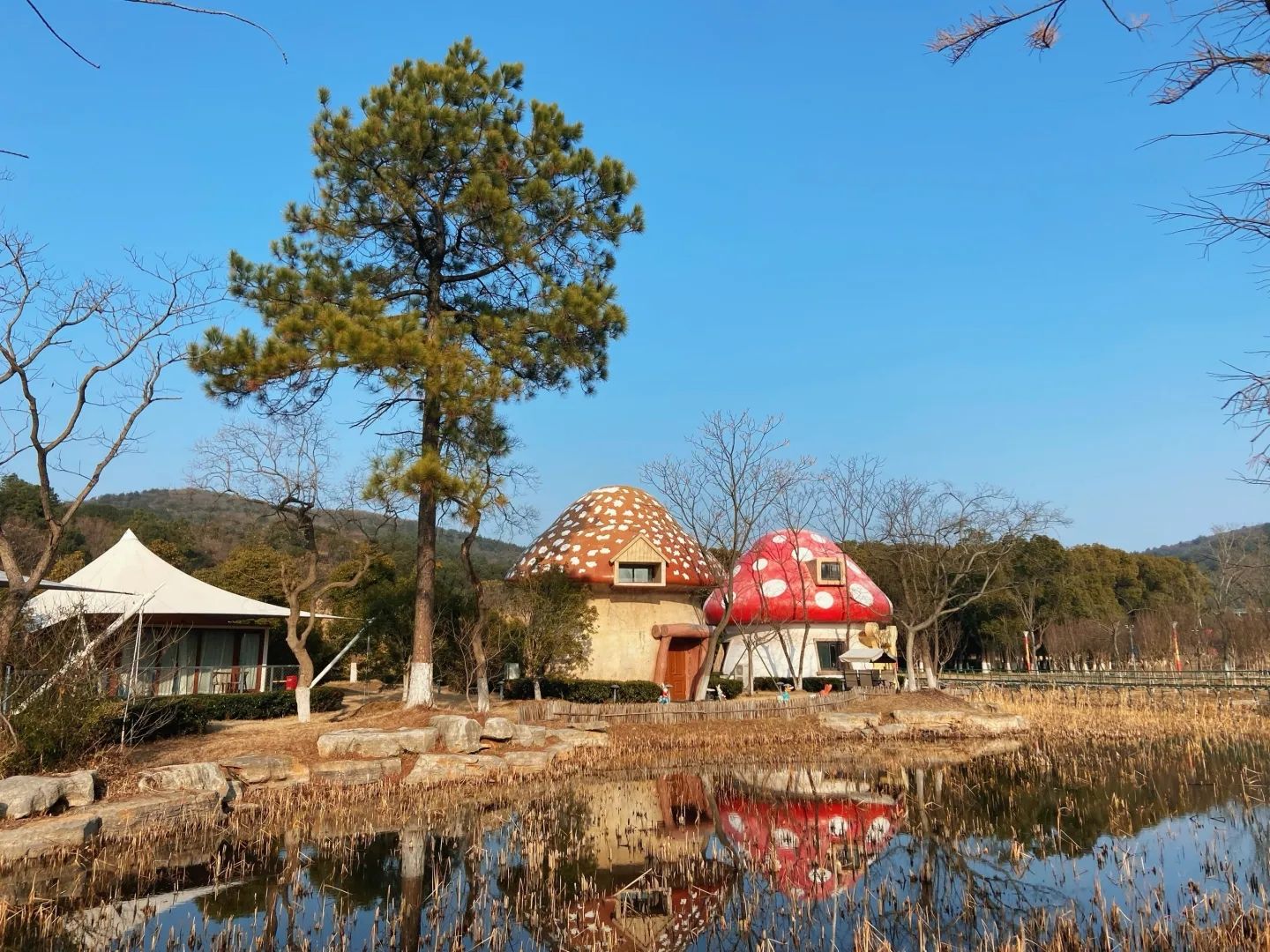 常州太湖湾竺山湖小镇旅行图片 2
