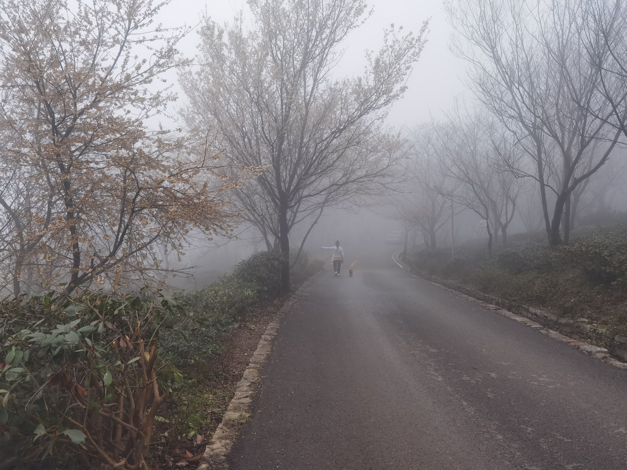 云龟山景区旅行图片 2