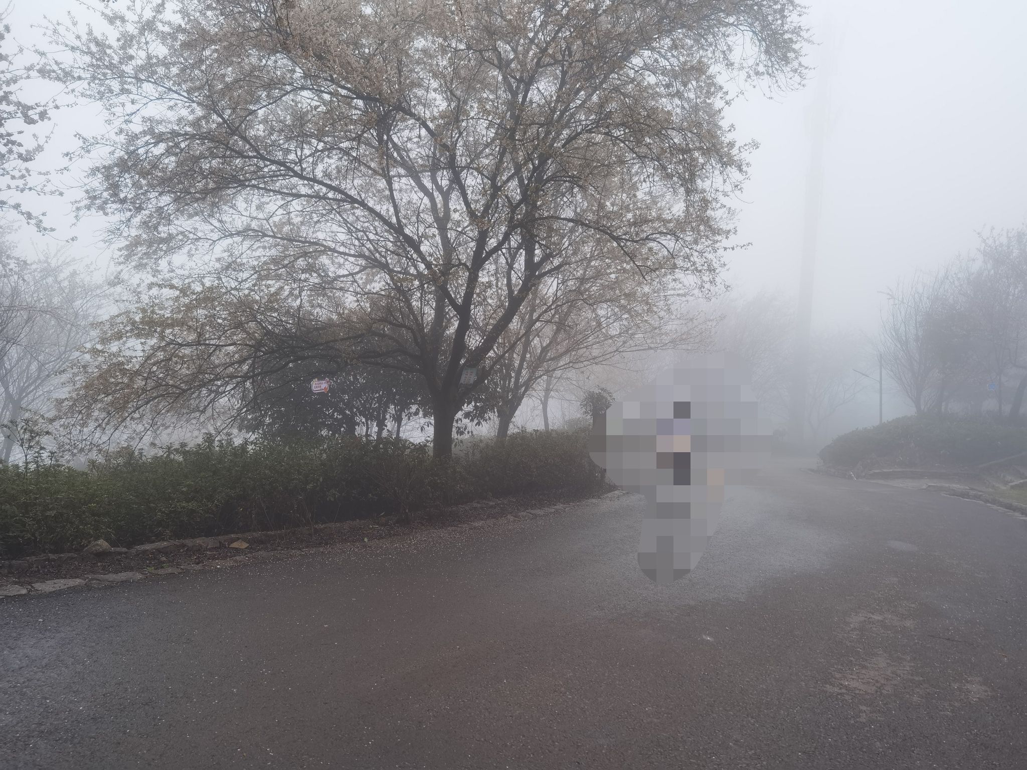云龟山景区旅行图片 3