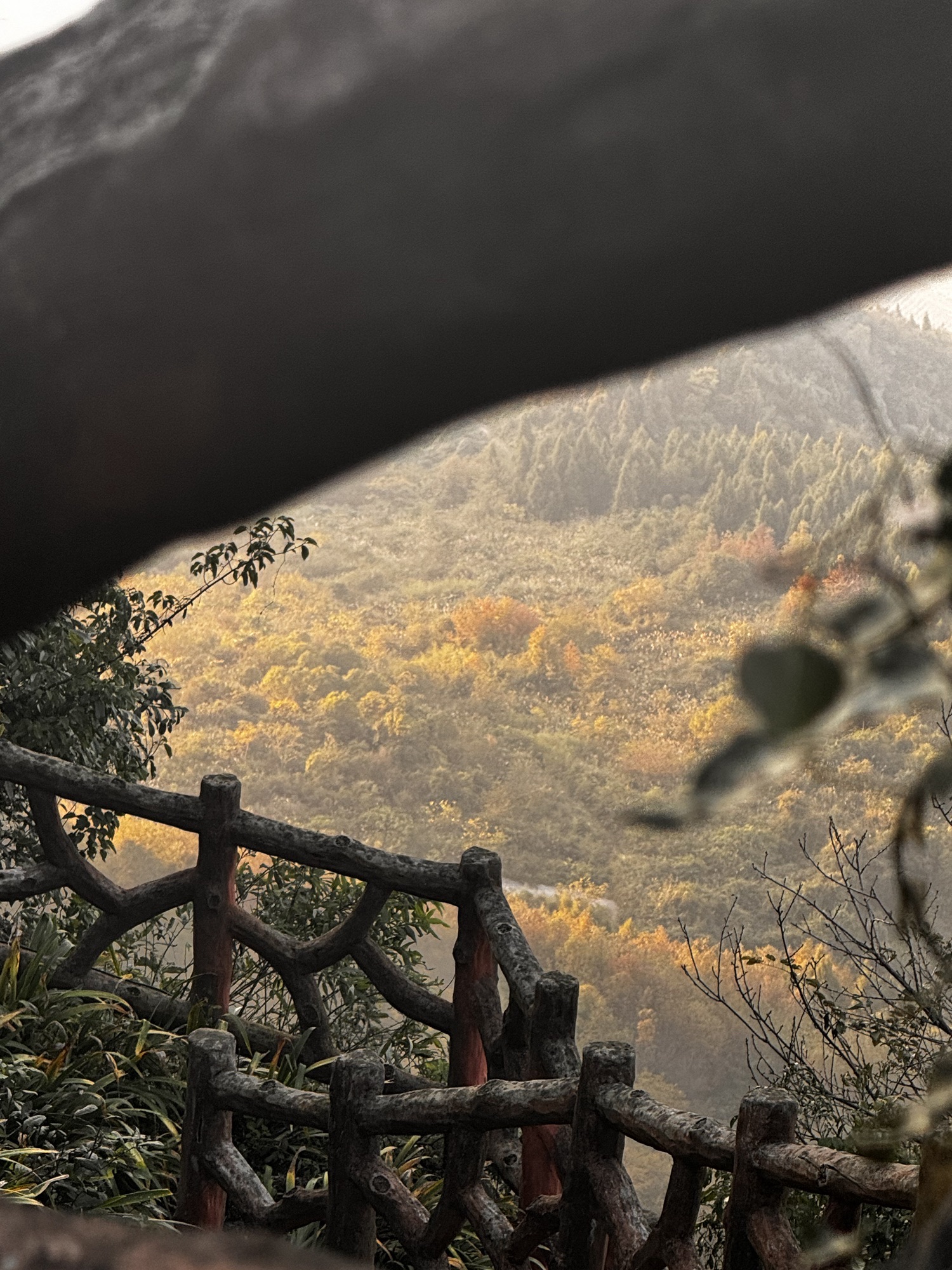 云龟山景区旅行图片 3