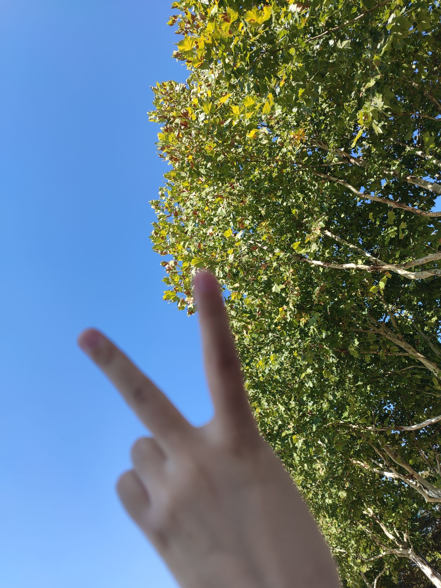 昌南湖湿地公园旅行图片 1