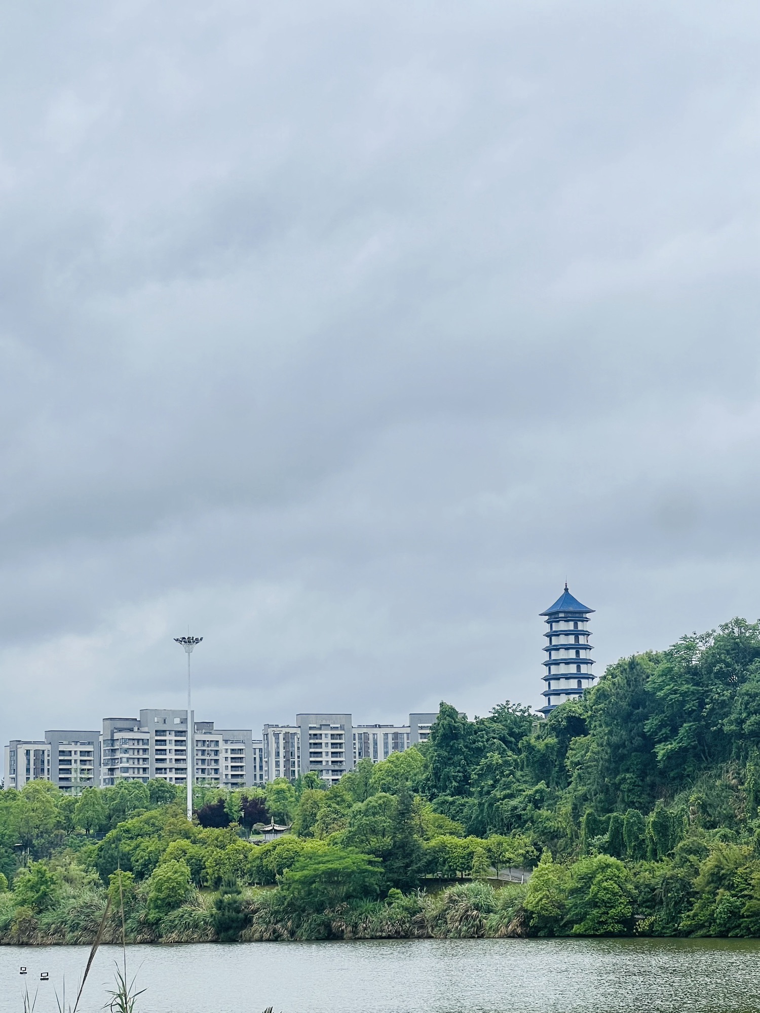 昌南湖湿地公园旅行图片 2