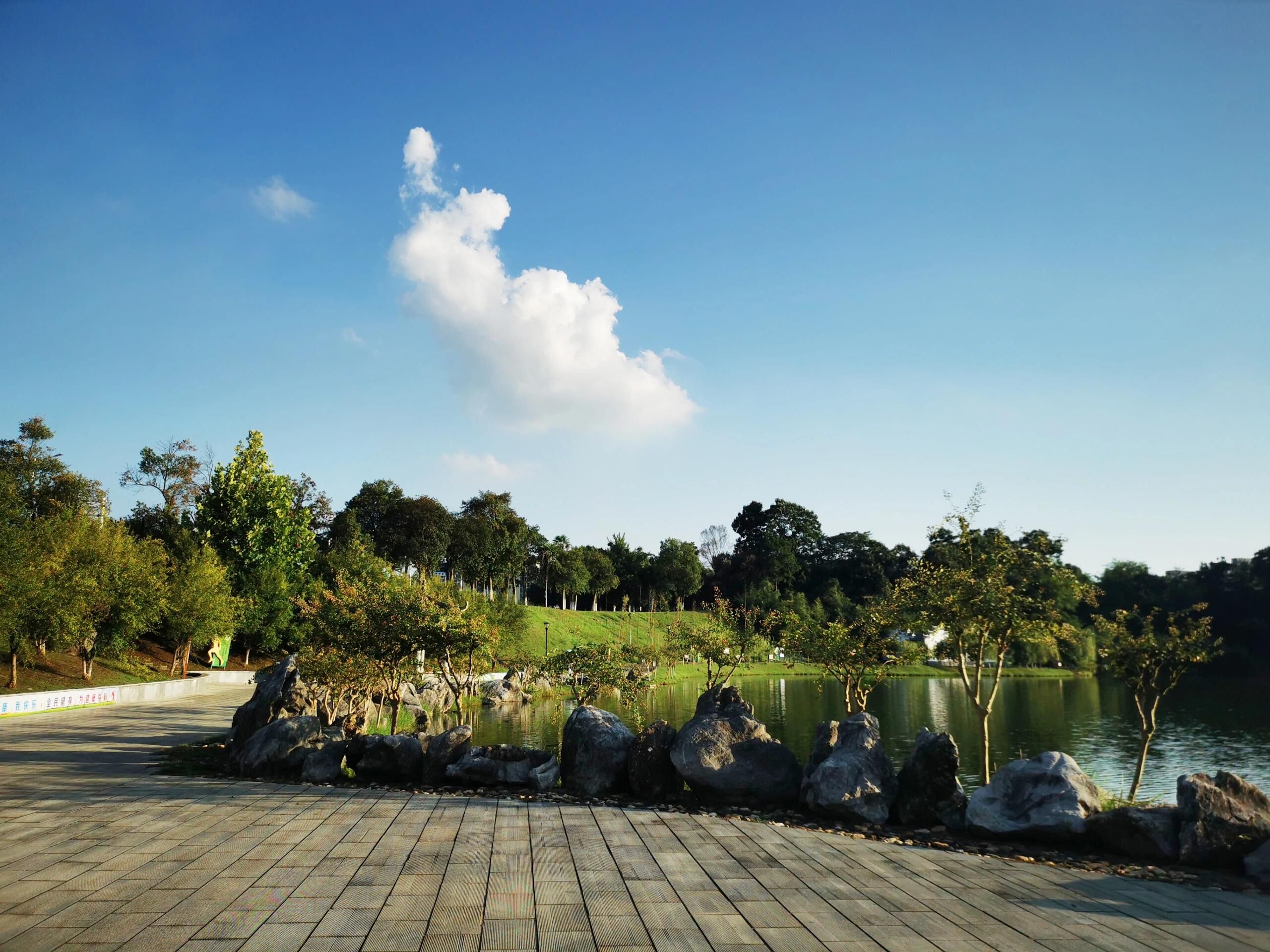昌南湖湿地公园旅行图片 3
