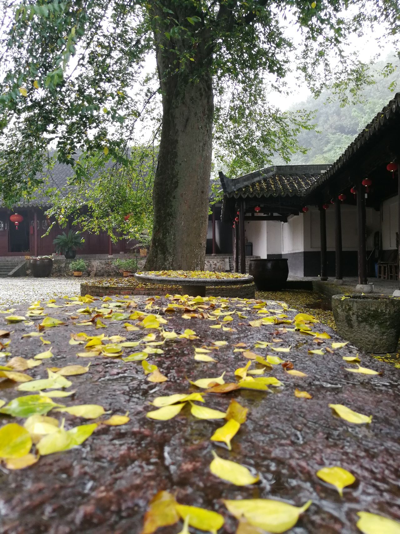 栖贤禅寺