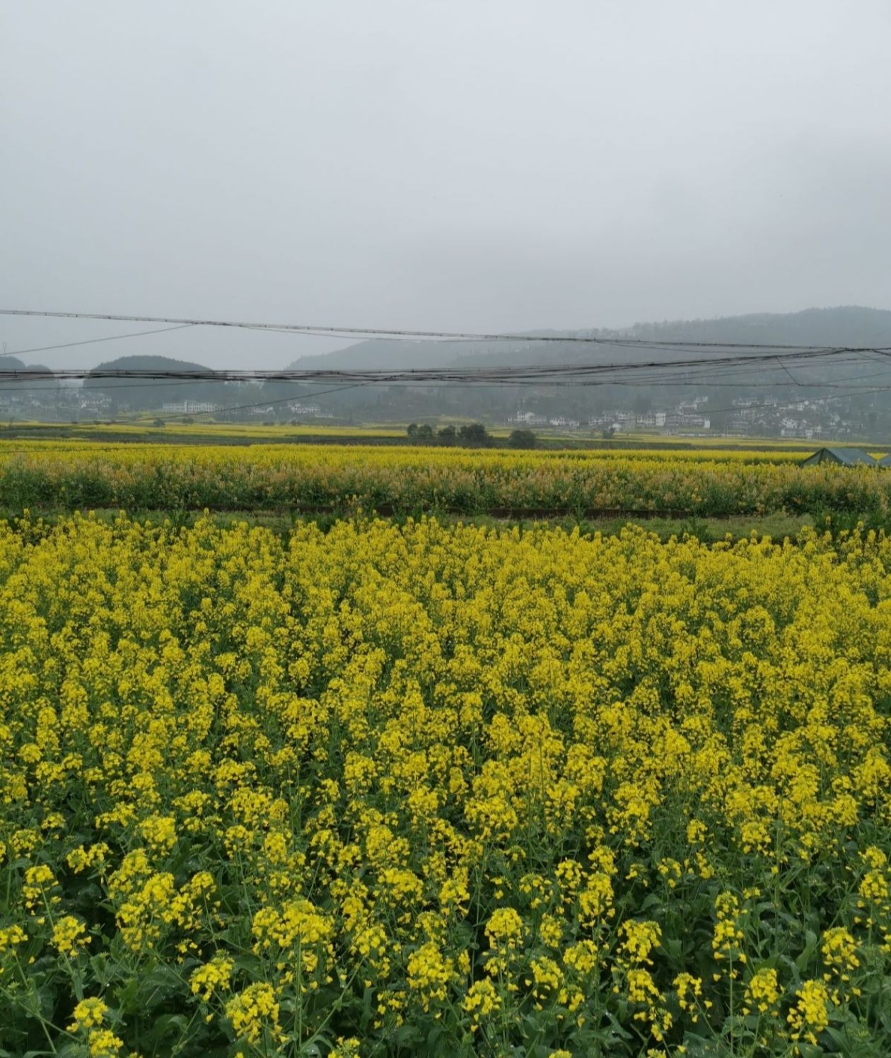 十里画廊旅游区旅行图片 3