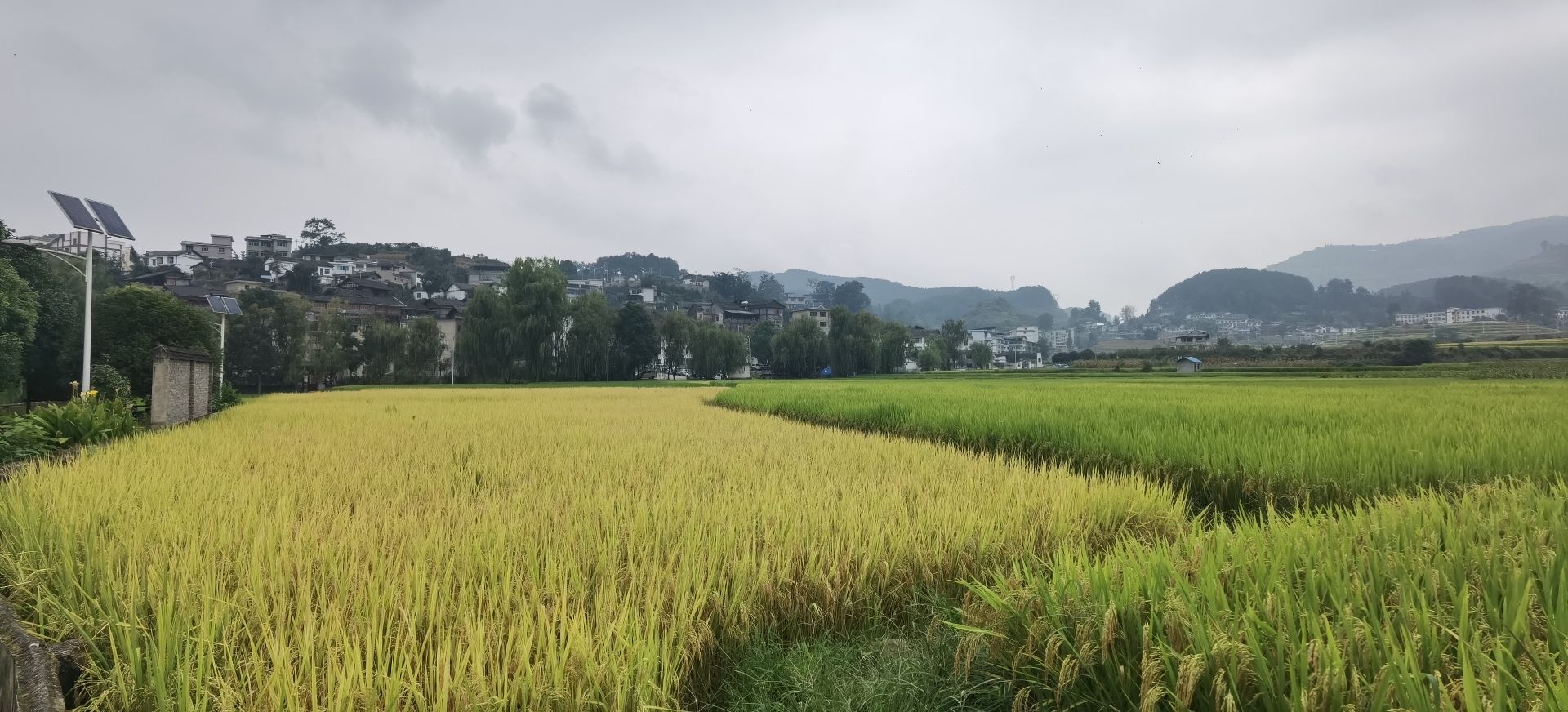 十里画廊旅游区旅行图片 2