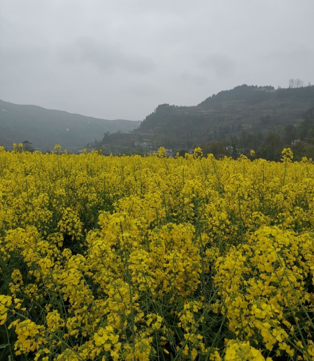 十里画廊旅游区旅行图片 2