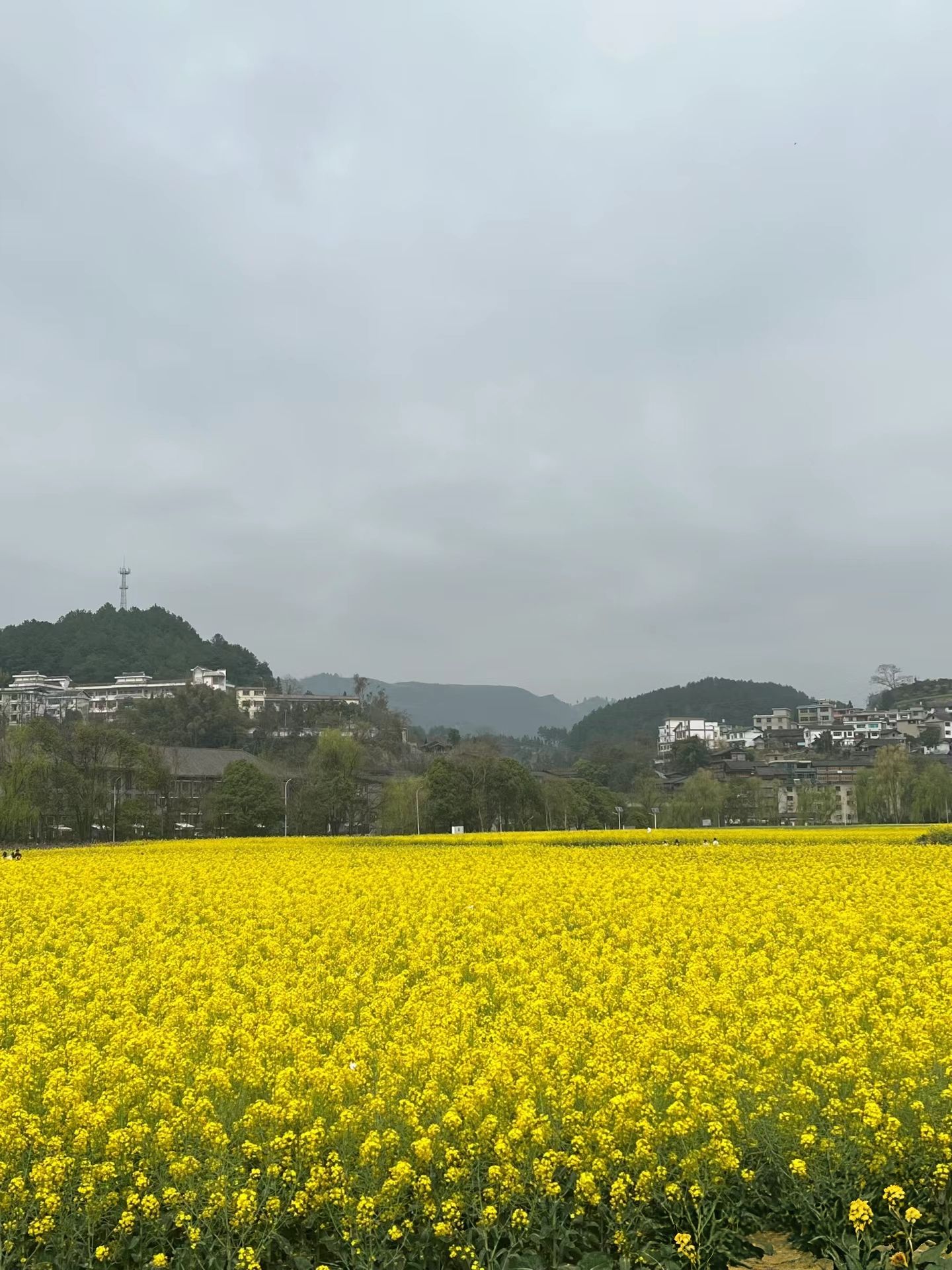 十里画廊旅游区旅行图片 2