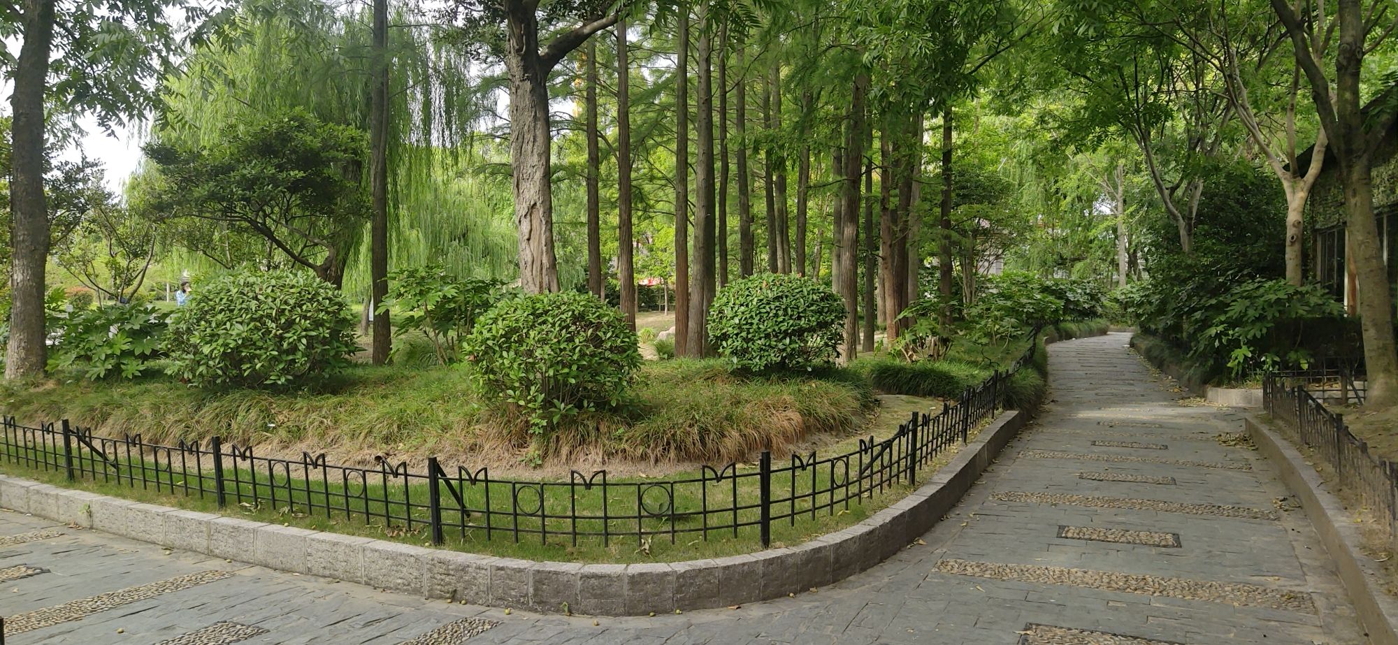 建德花园小公园旅行图片