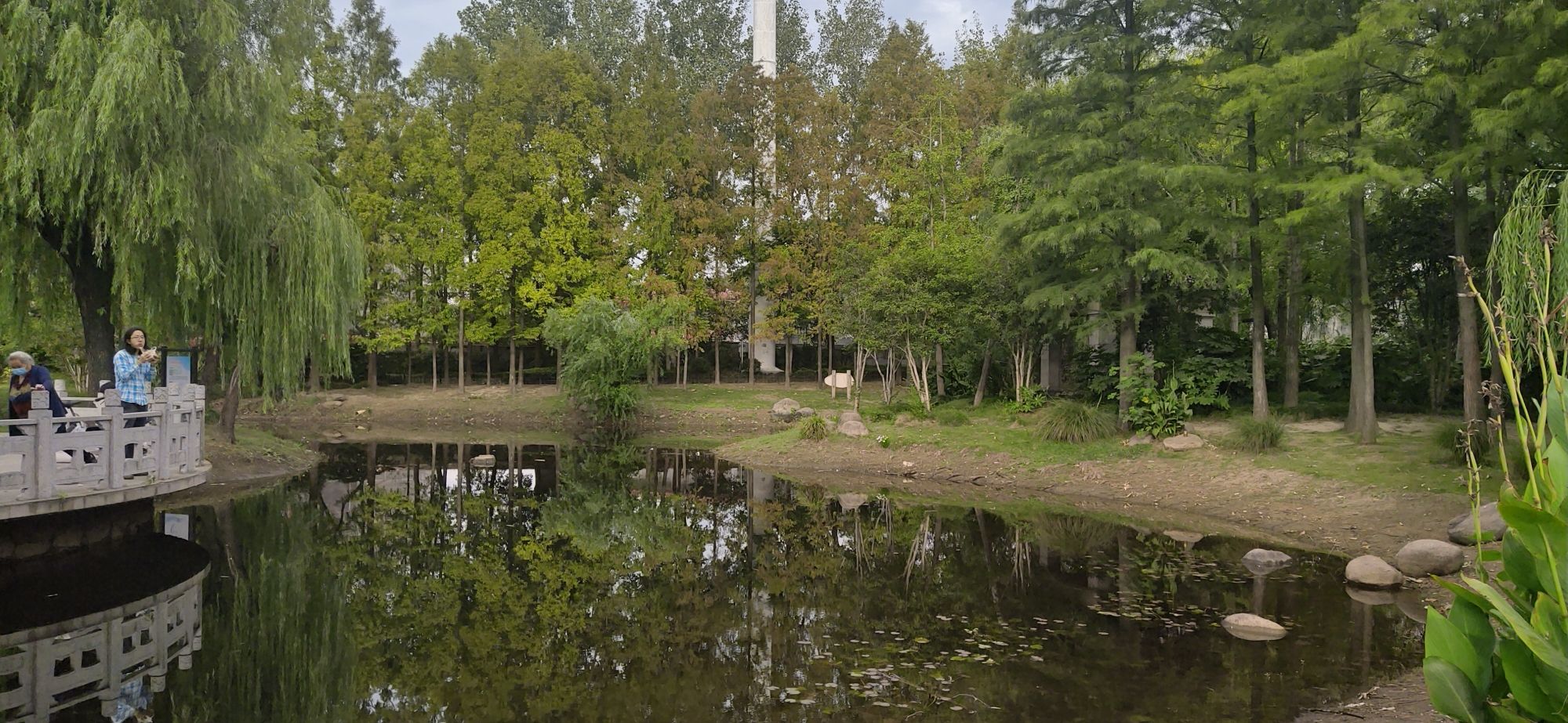 建德花园小公园旅行图片 2