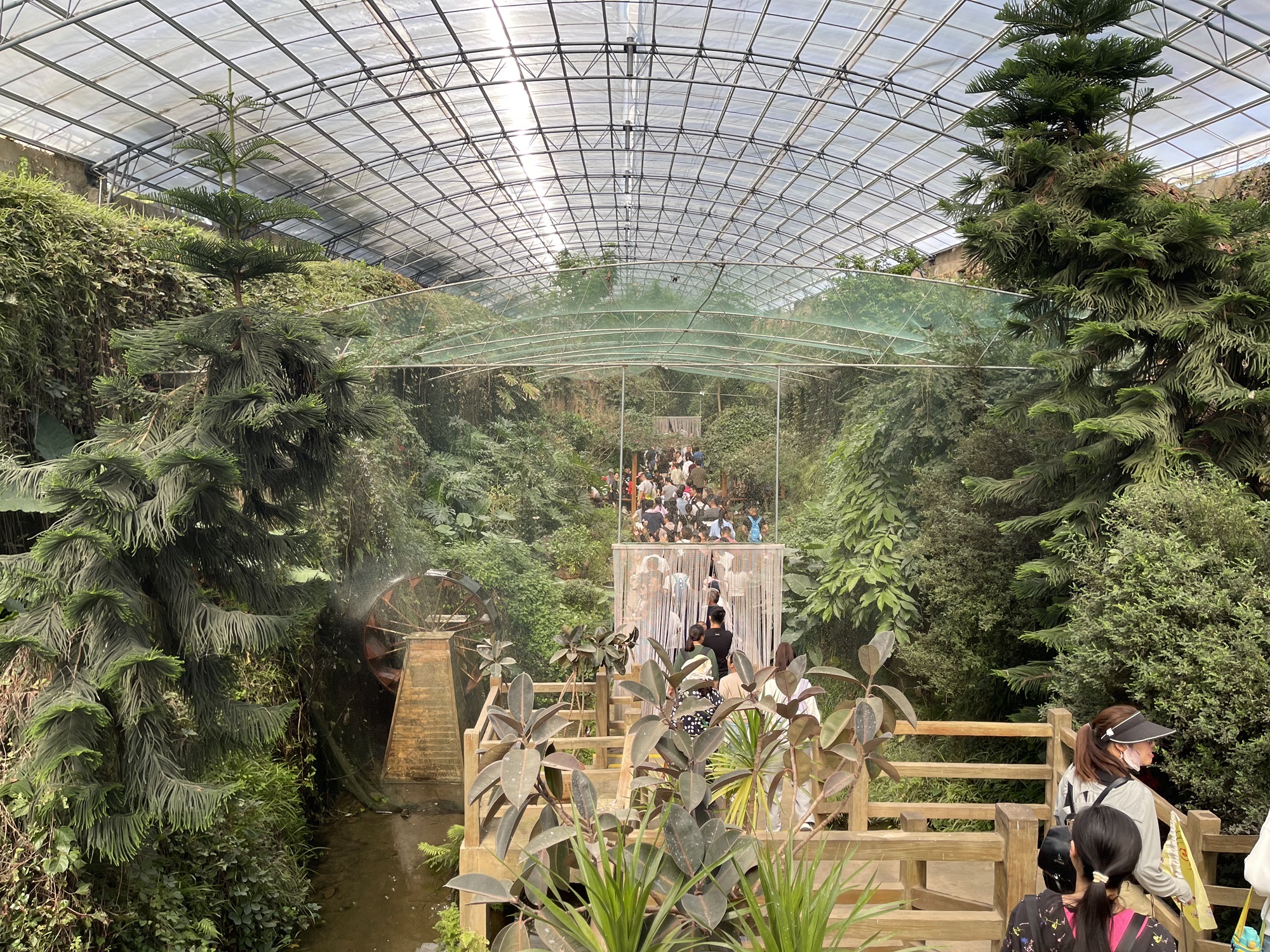 萤火虫水洞旅行图片 1