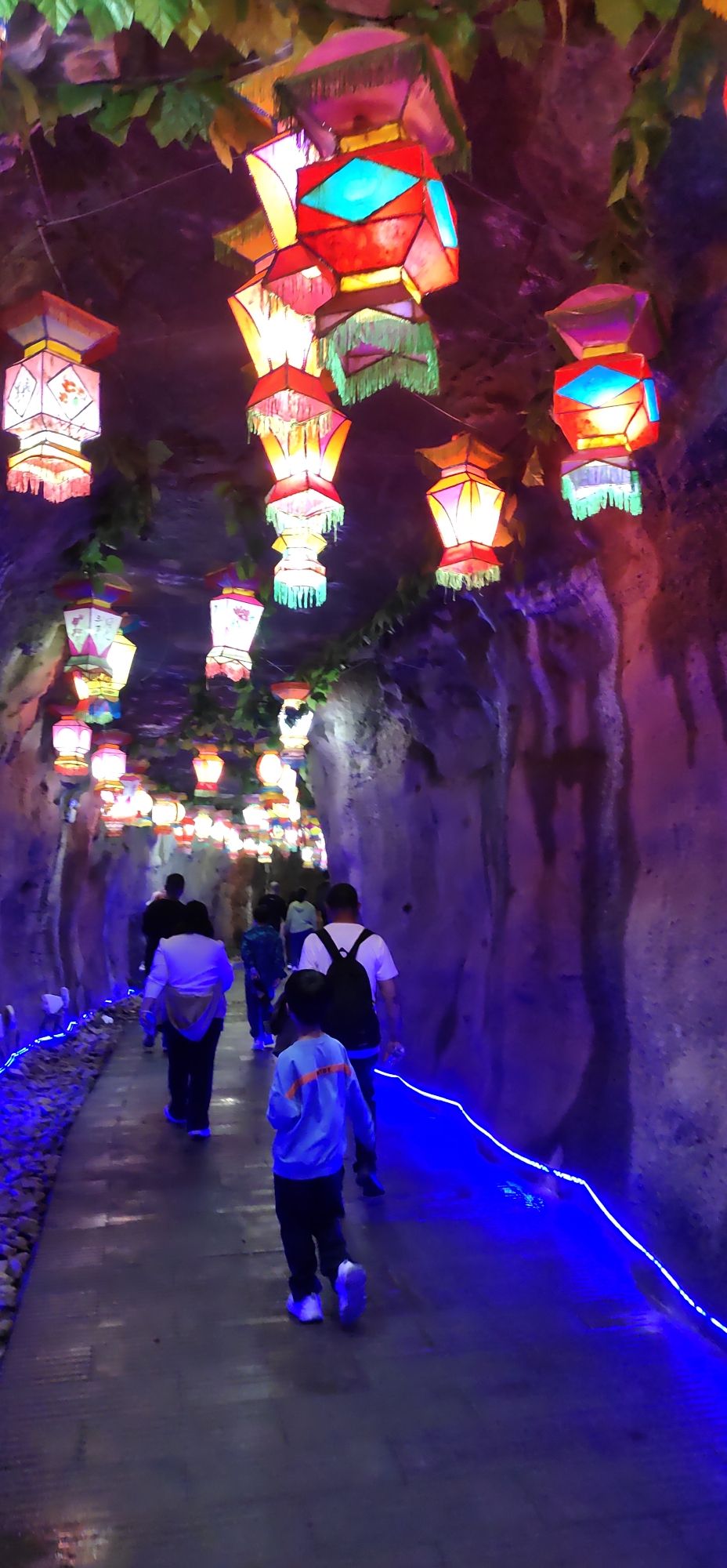 萤火虫水洞旅行图片 1