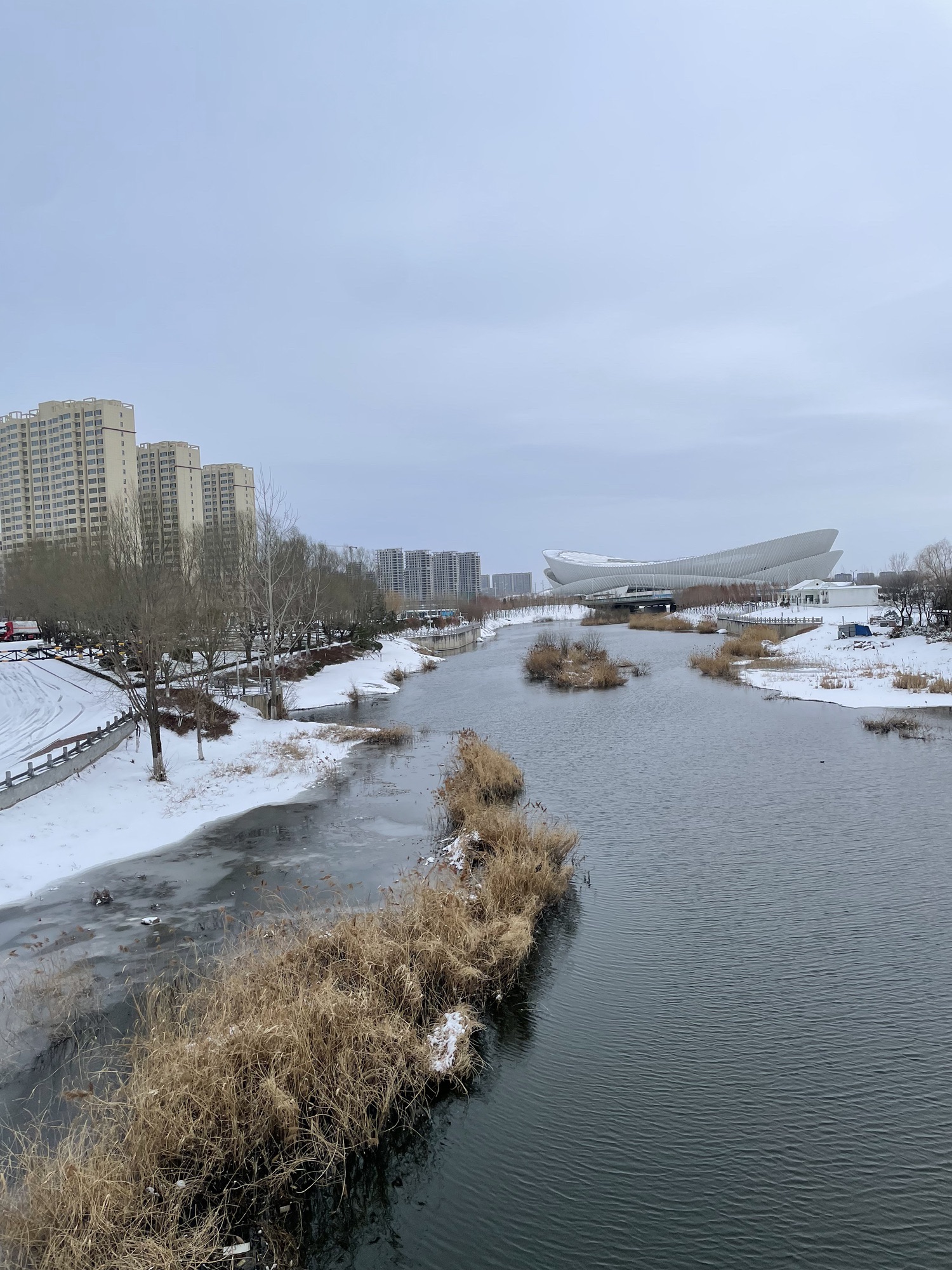 柳青河公园旅行图片 3