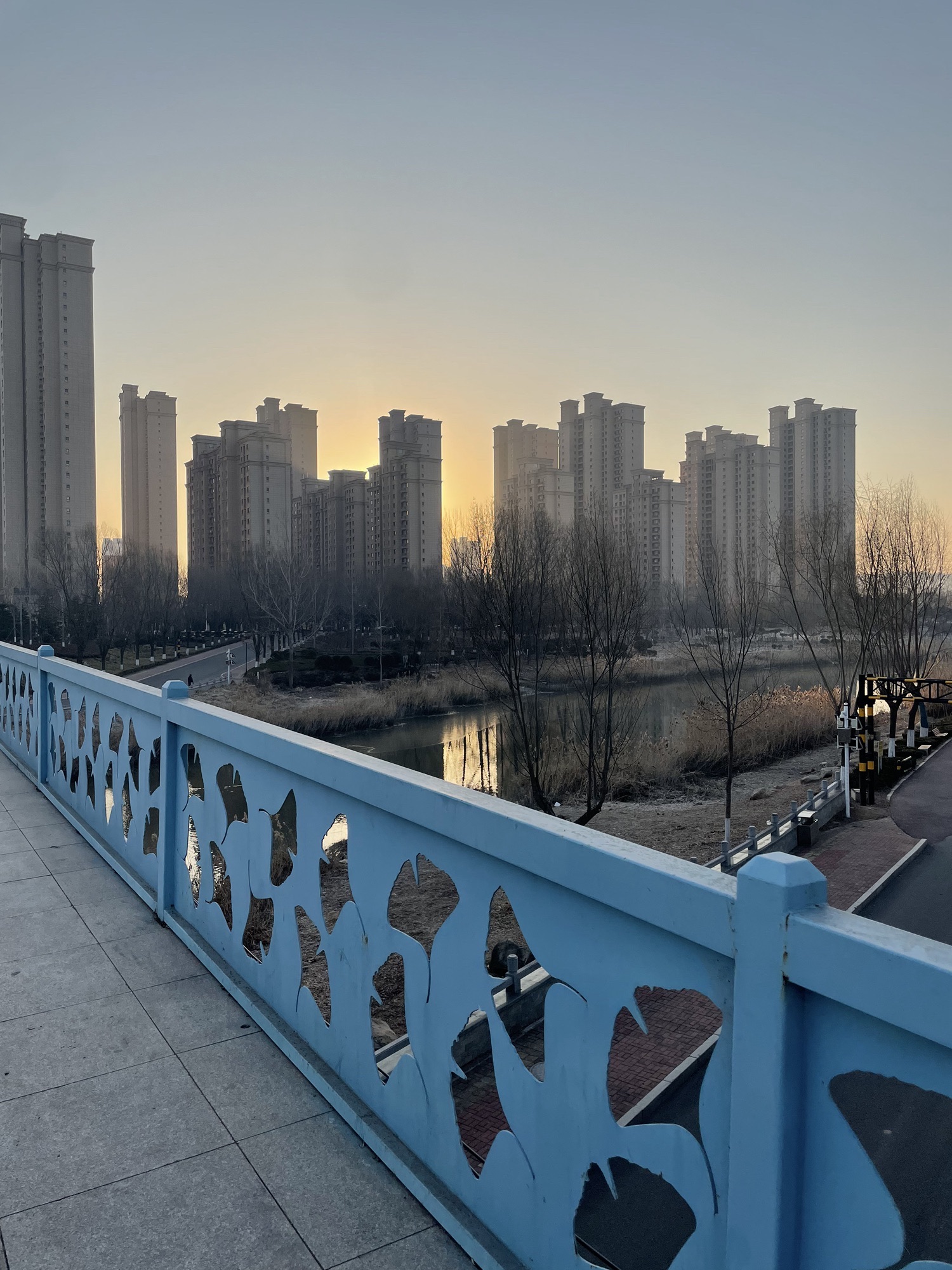 柳青河公园旅行图片 3