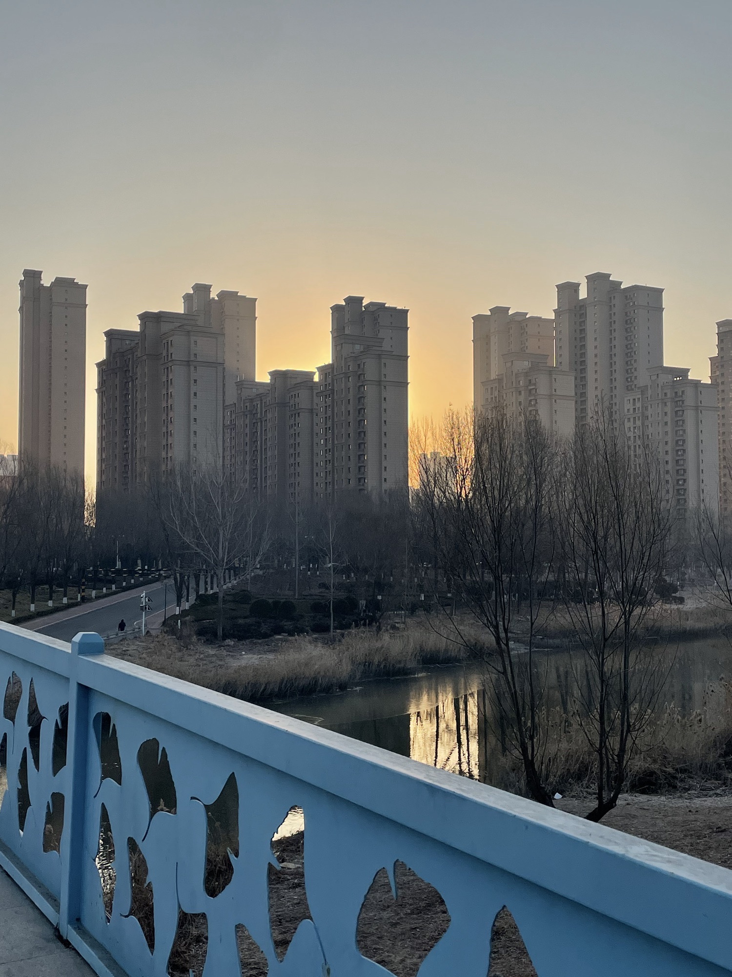 柳青河公园旅行图片 2