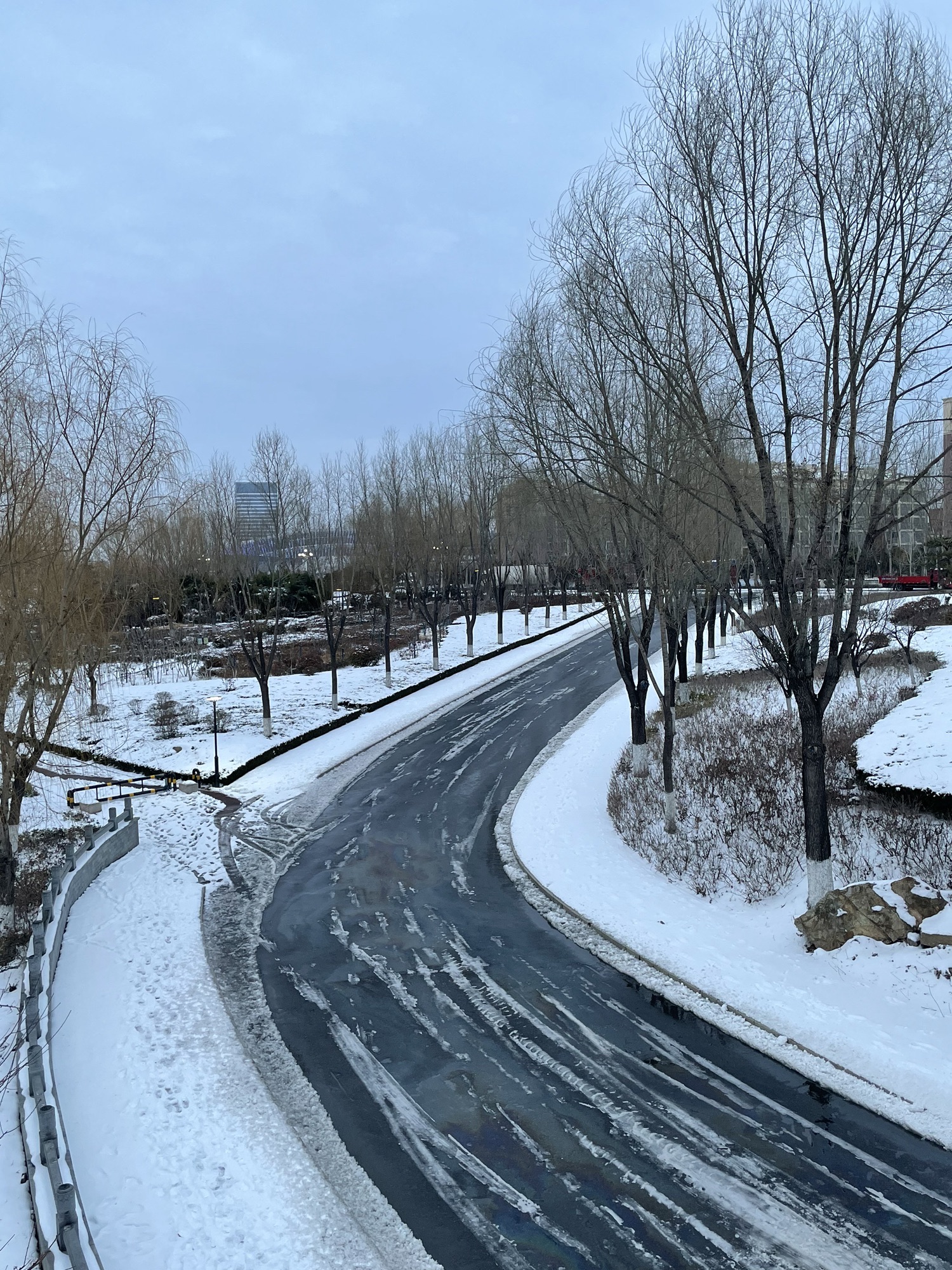 柳青河公园旅行图片 1