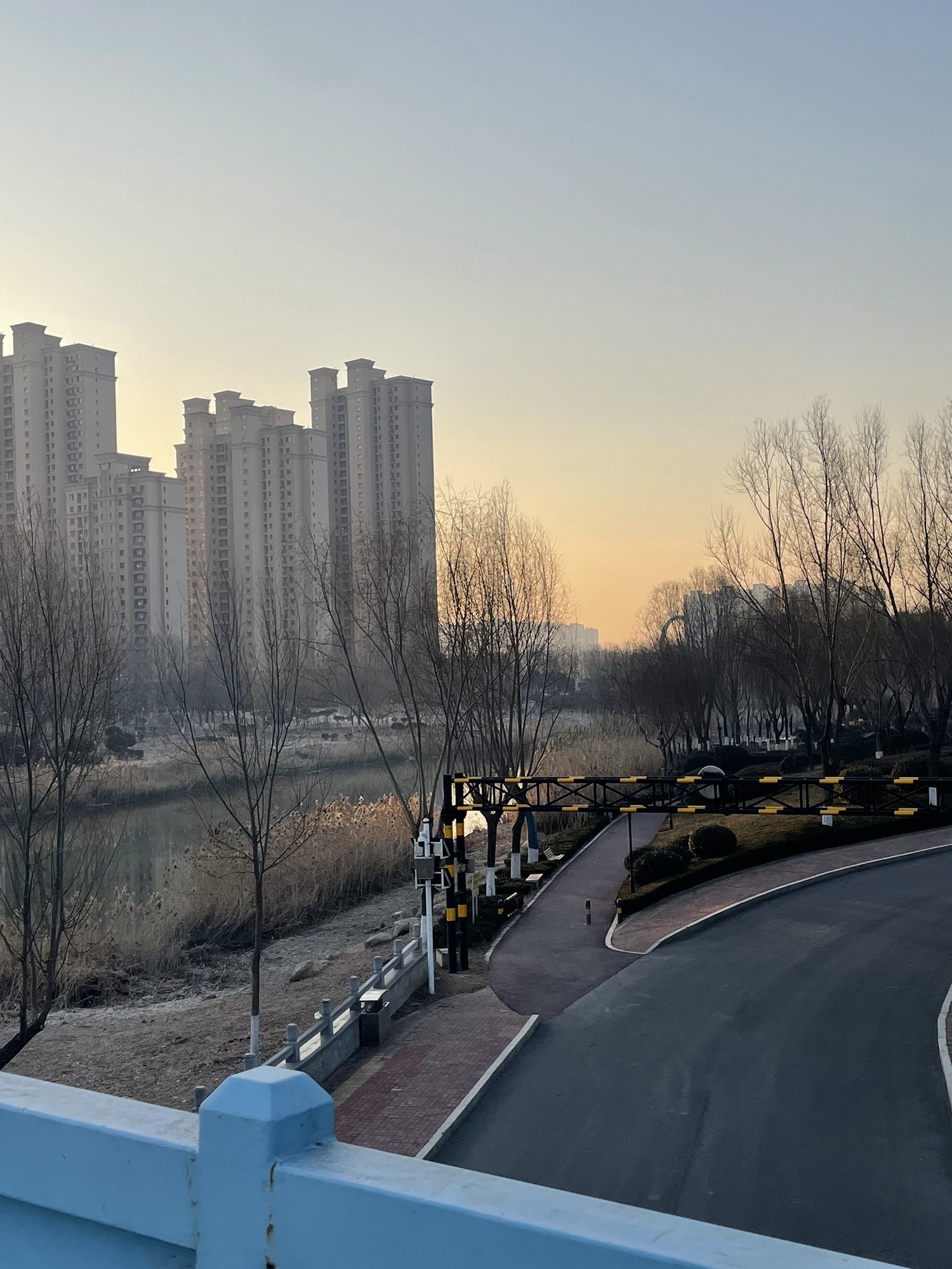 柳青河公园旅行图片 1