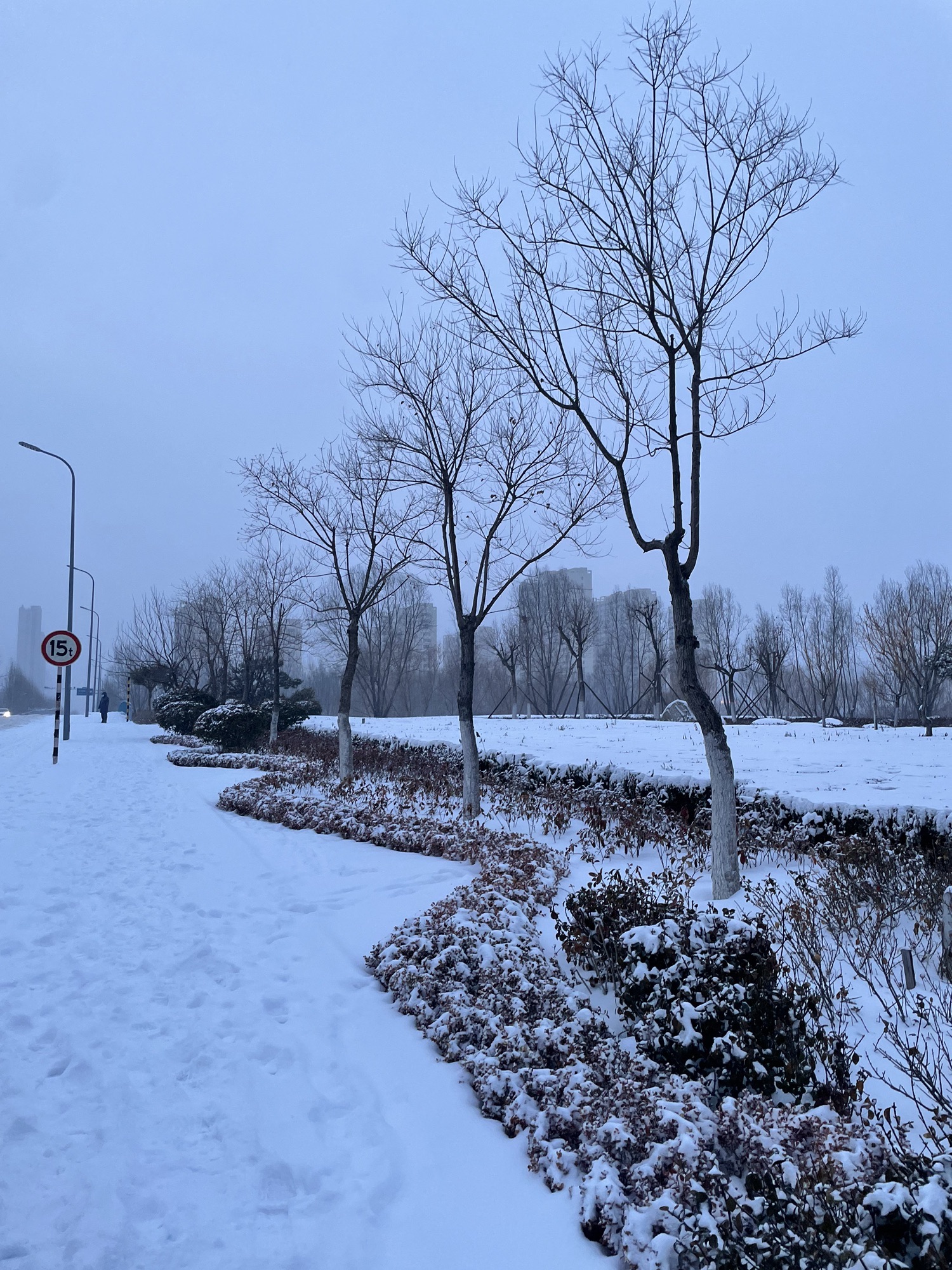 柳青河公园旅行图片 3
