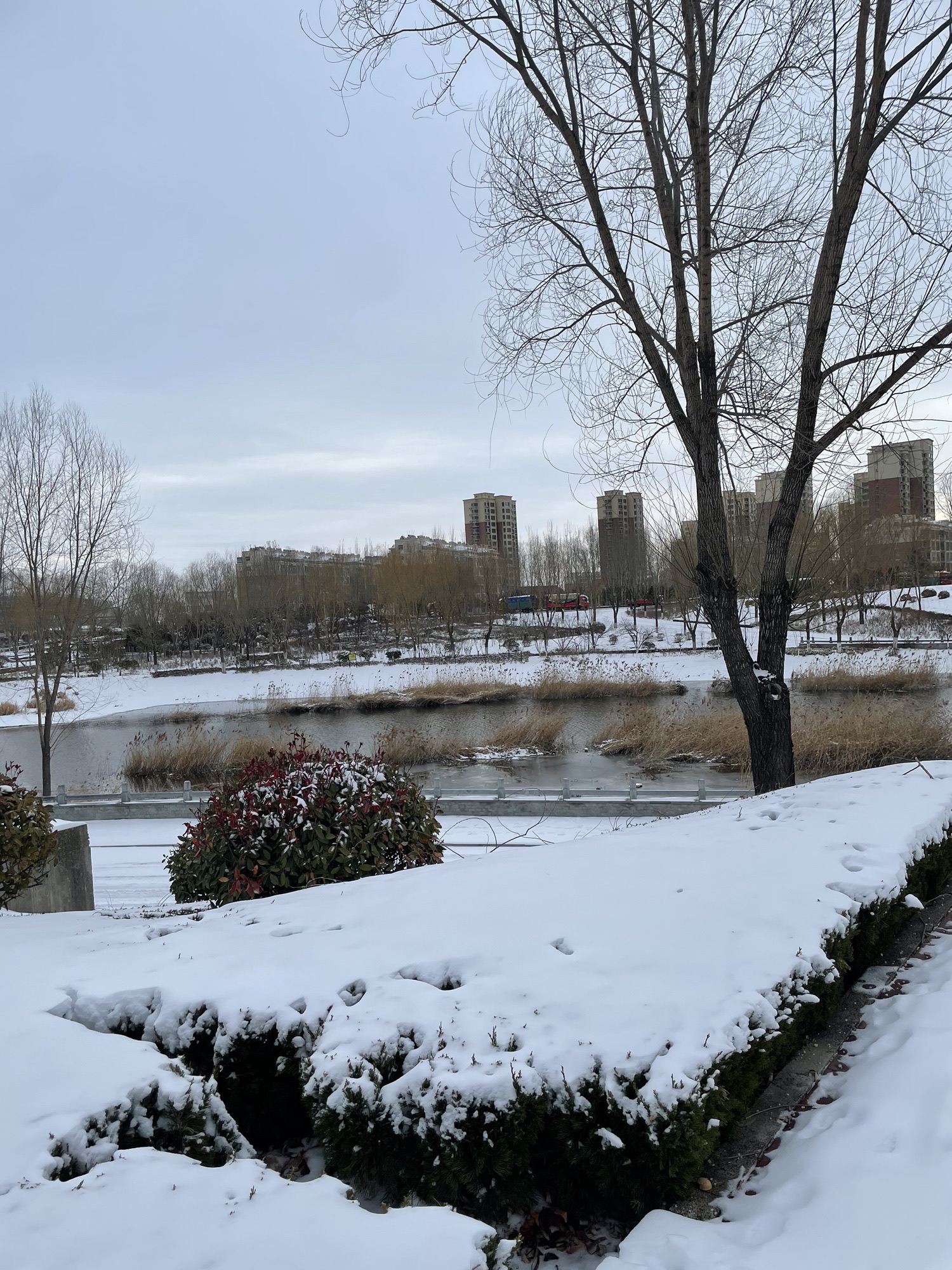 柳青河公园旅行图片 2