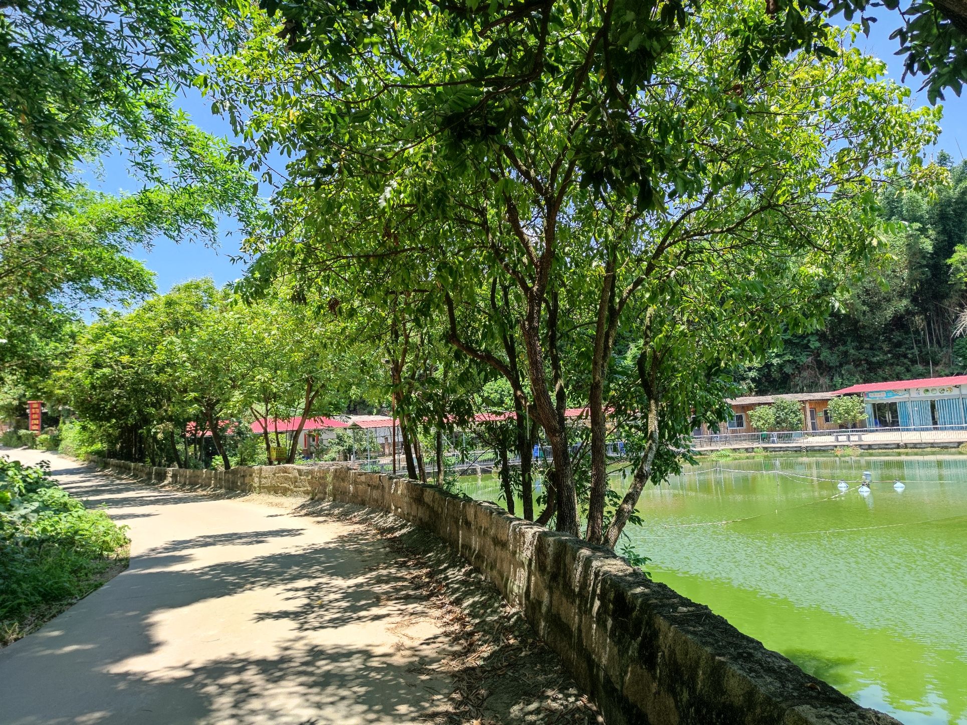 垂钓休闲山庄