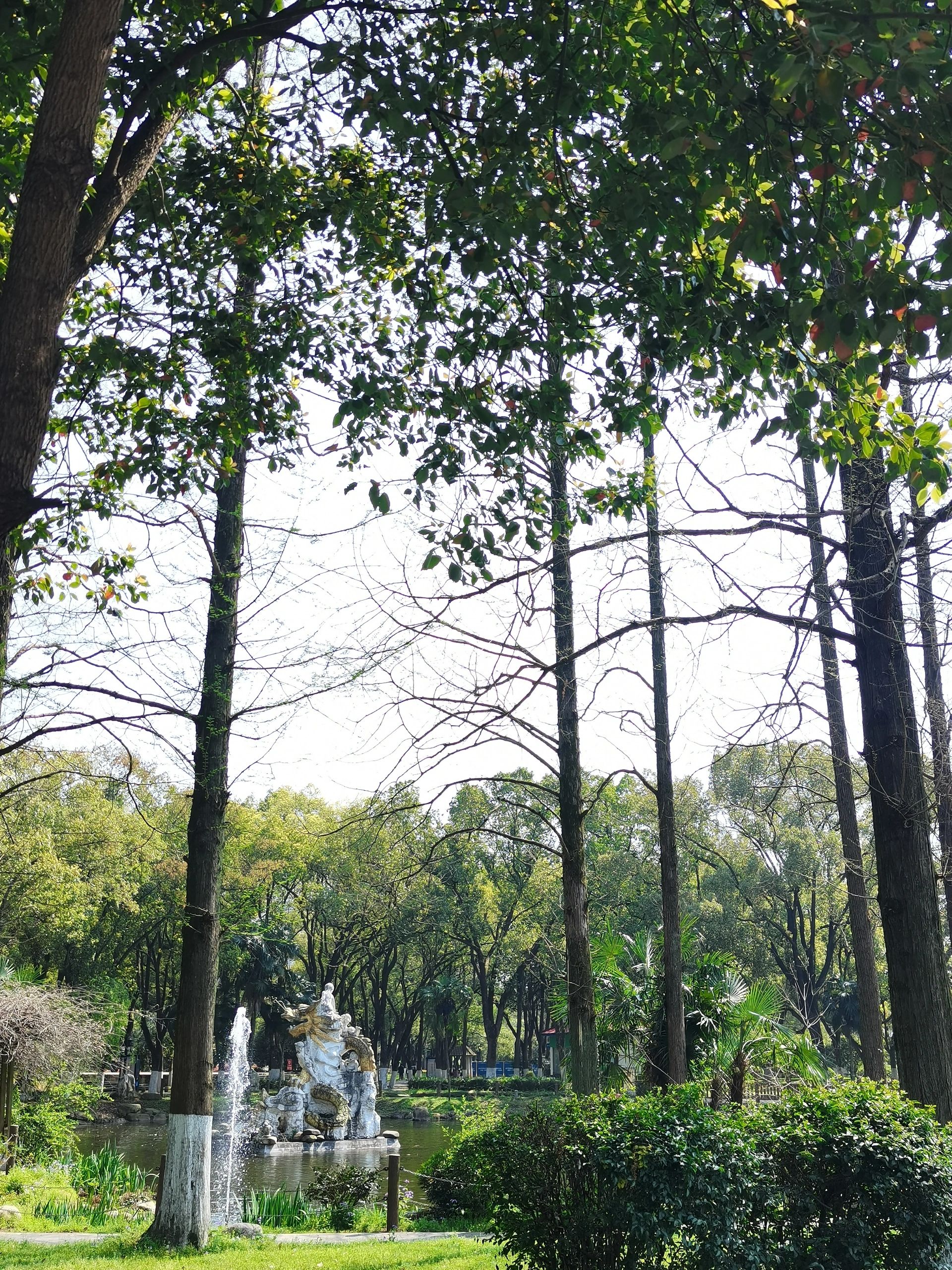 曾国藩诗文岛旅行图片 3