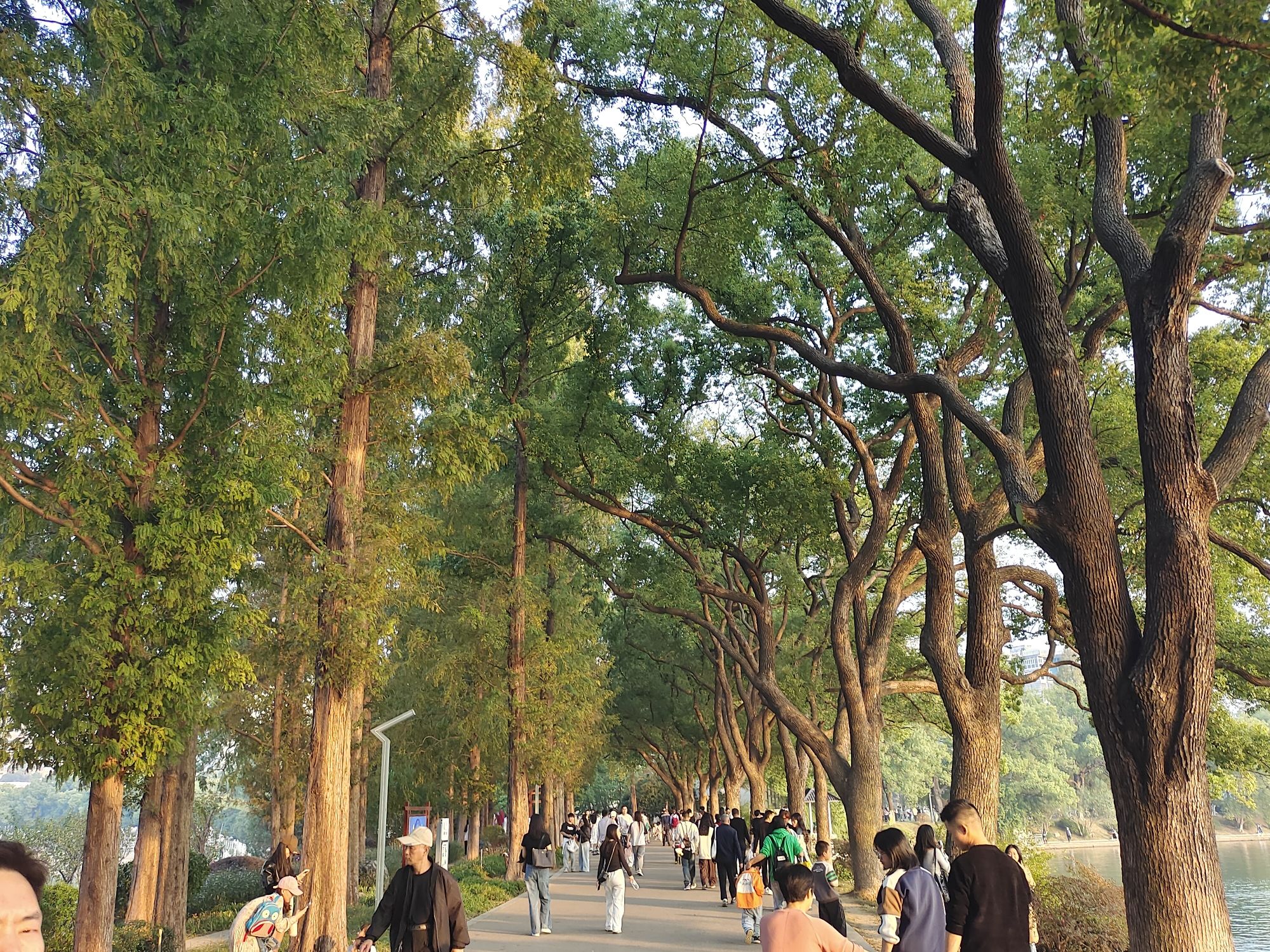 安仁县熊峰山国家森林公园旅行图片 2