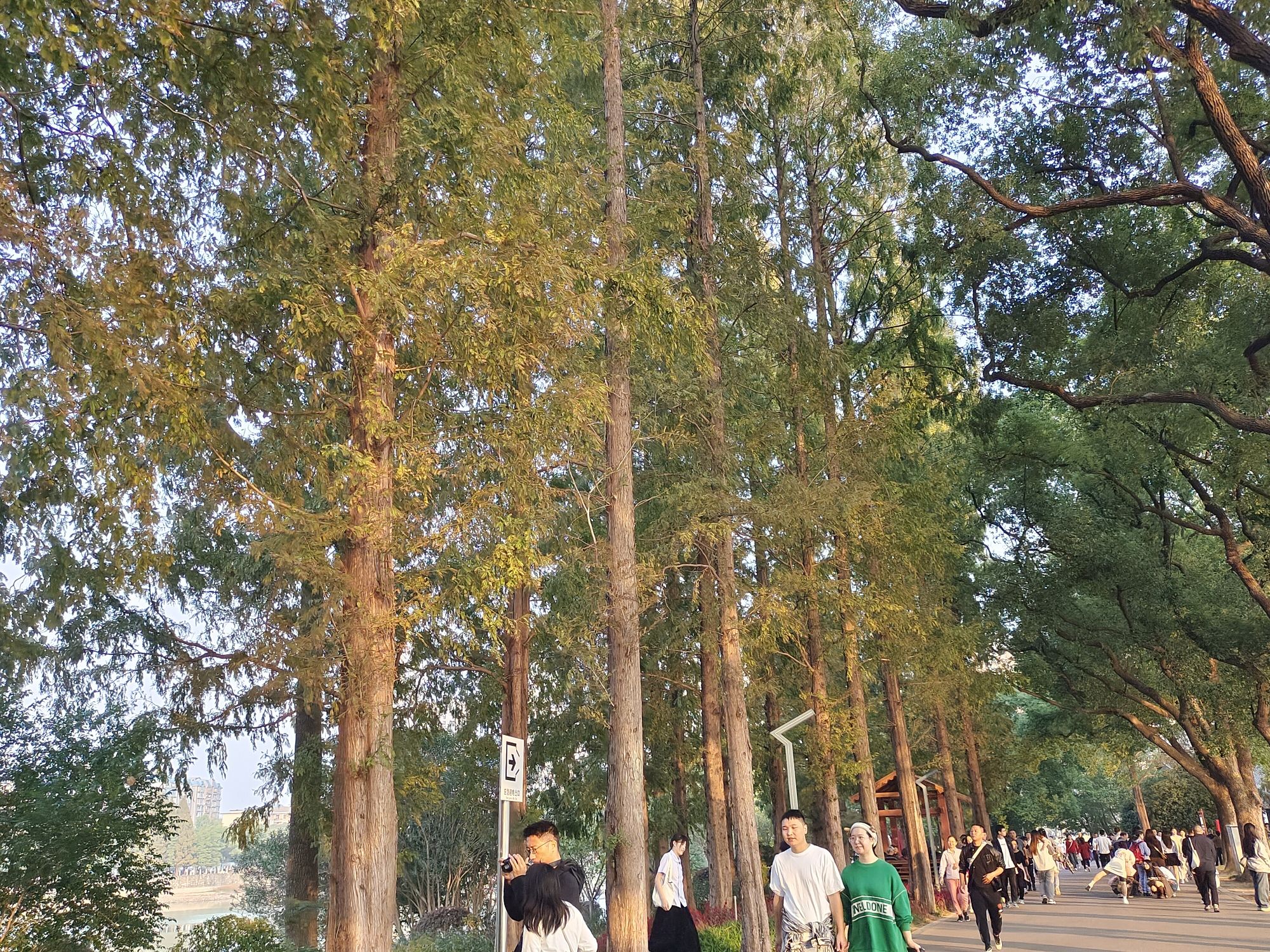 安仁县熊峰山国家森林公园旅行图片 1