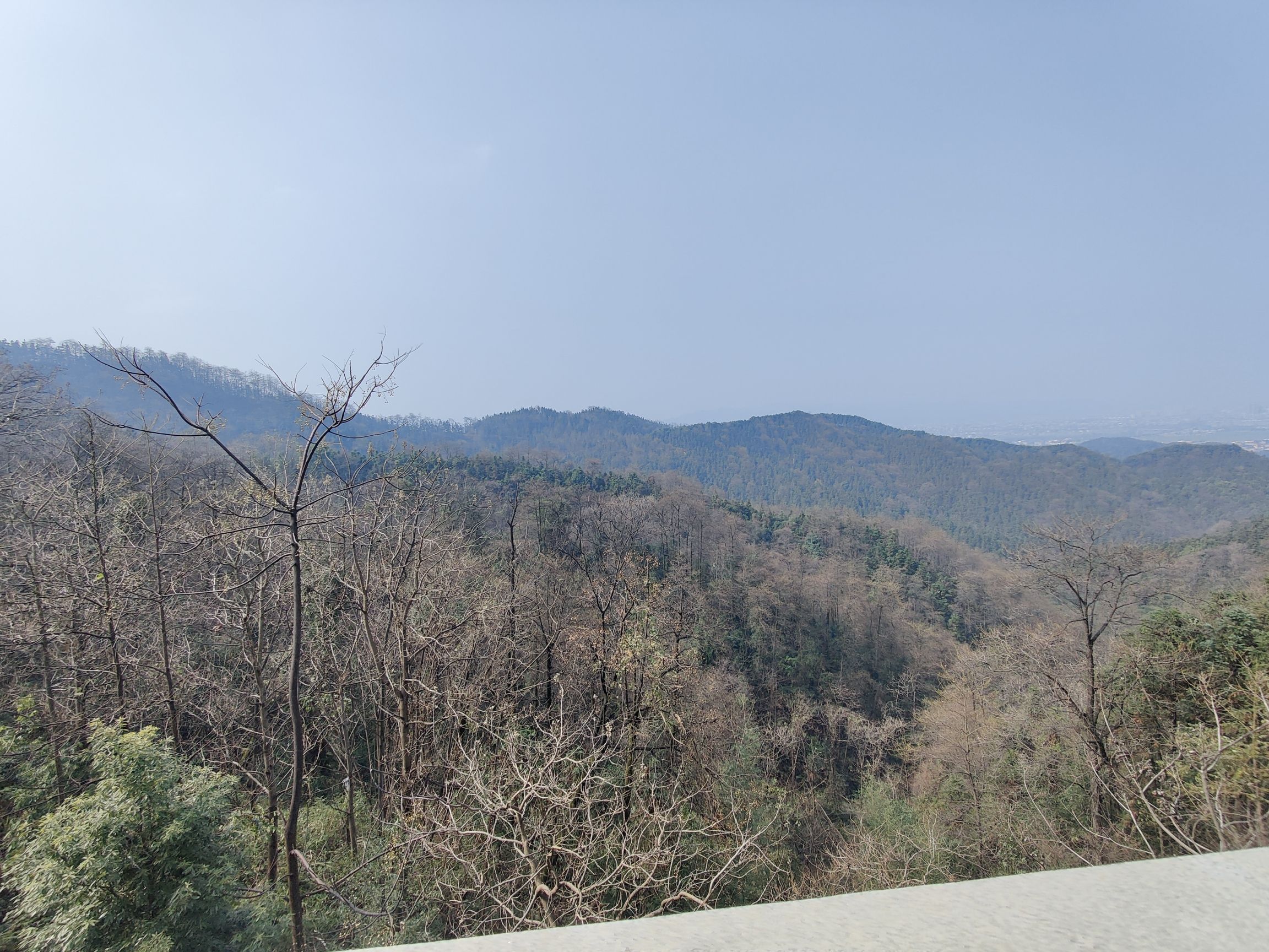 安仁县熊峰山国家森林公园旅行图片 1