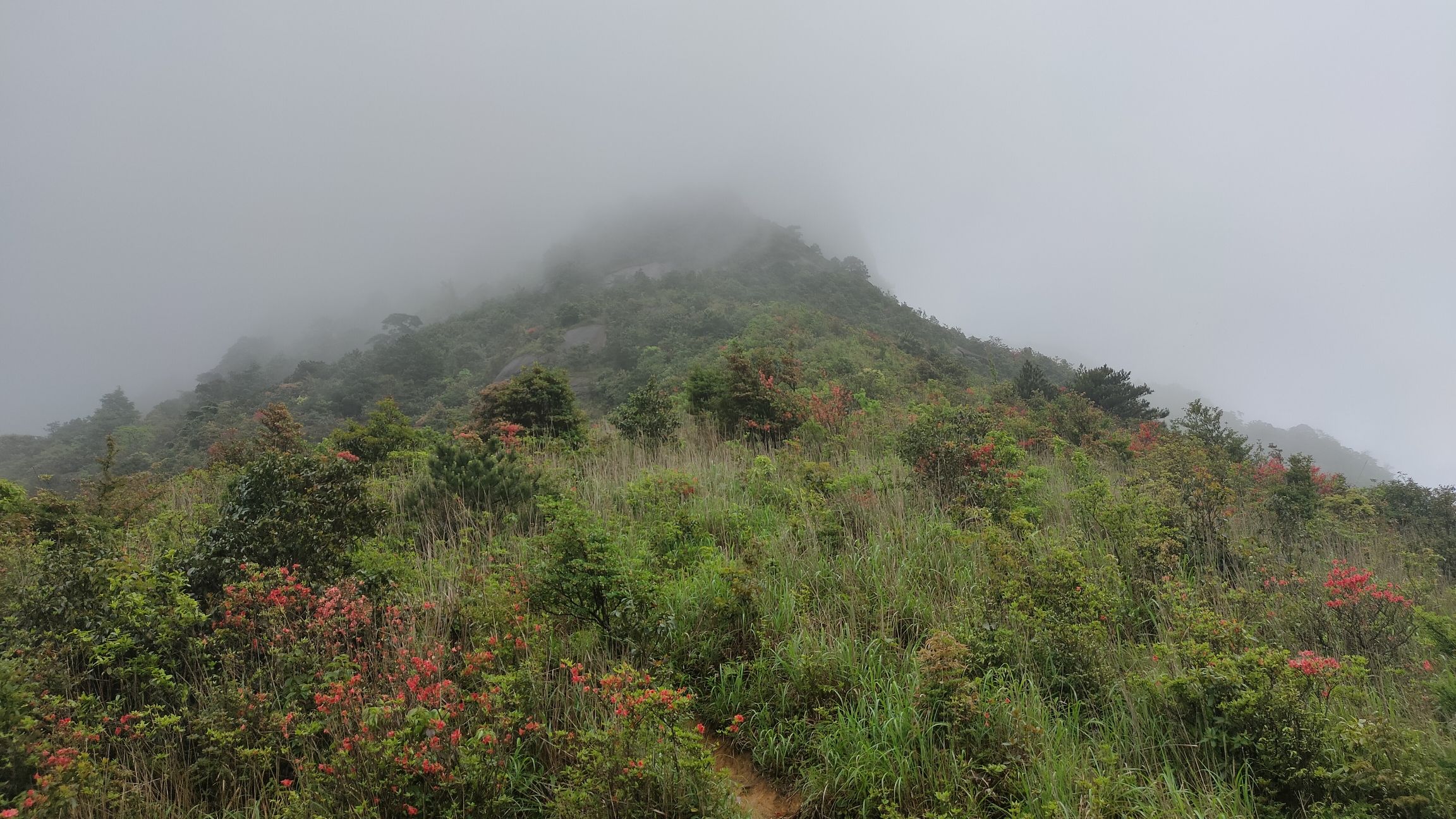 三分石景区旅行图片 2