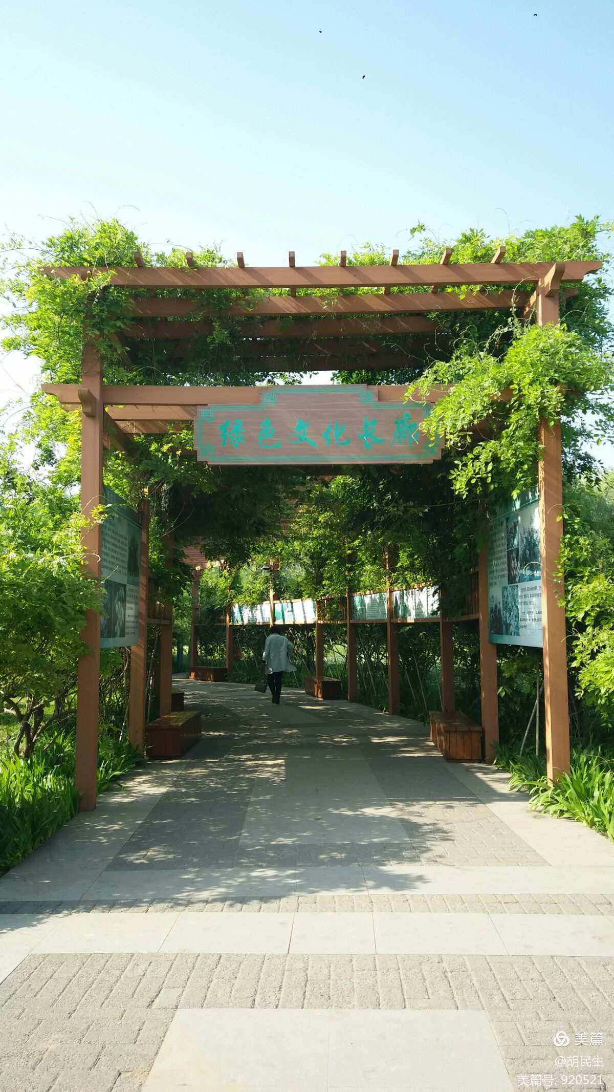 滦州植物园旅行图片 3