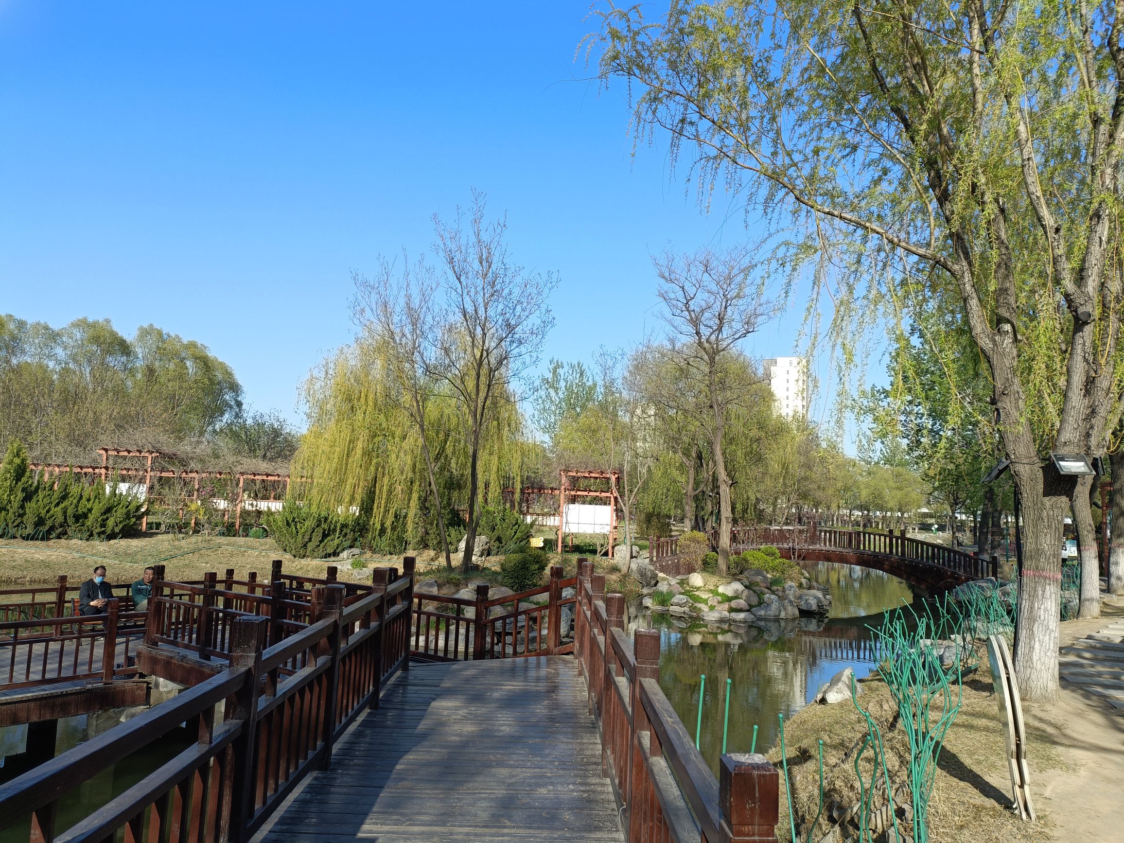 滦州植物园旅行图片 3