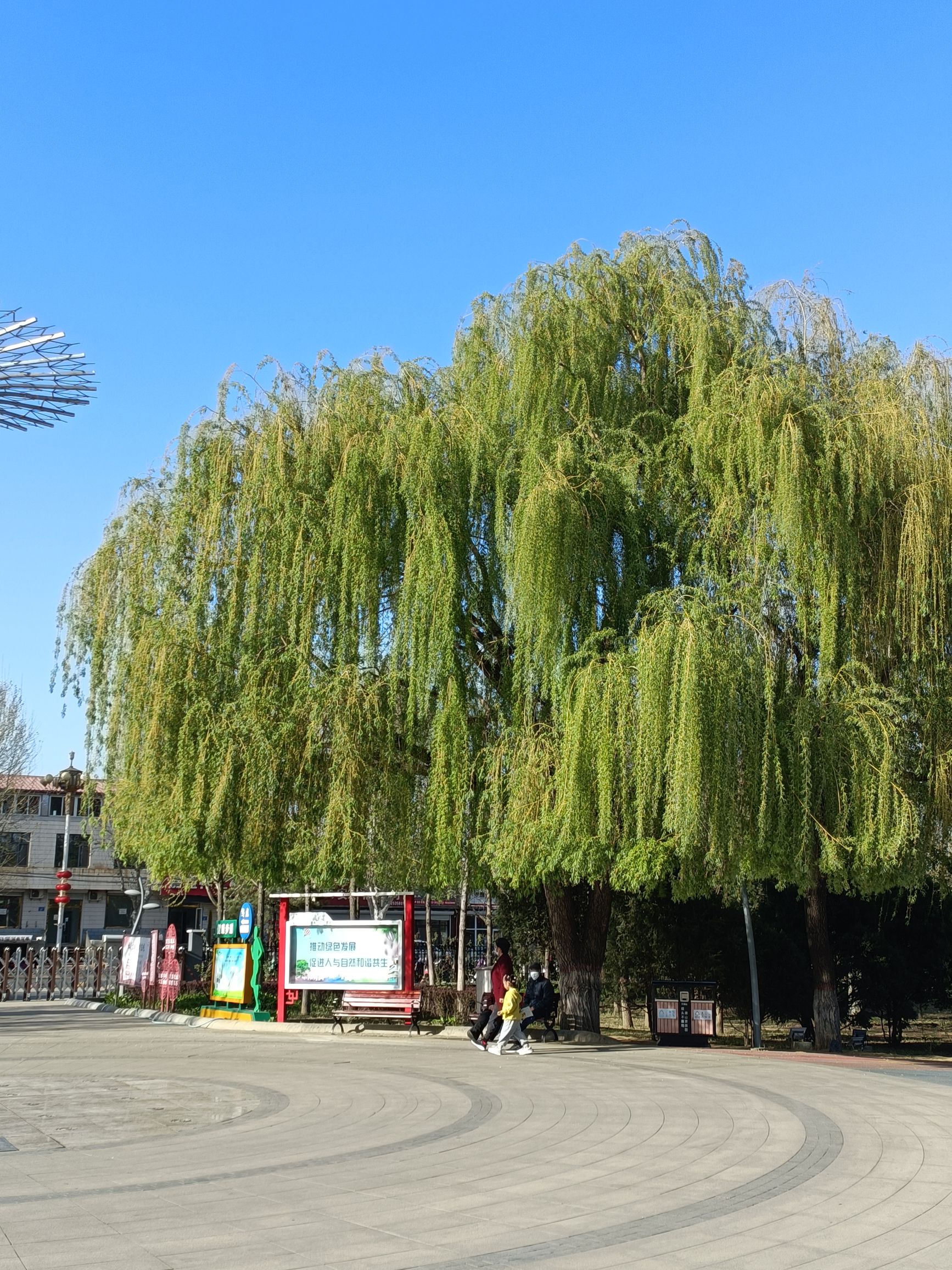 滦州植物园旅行图片 2
