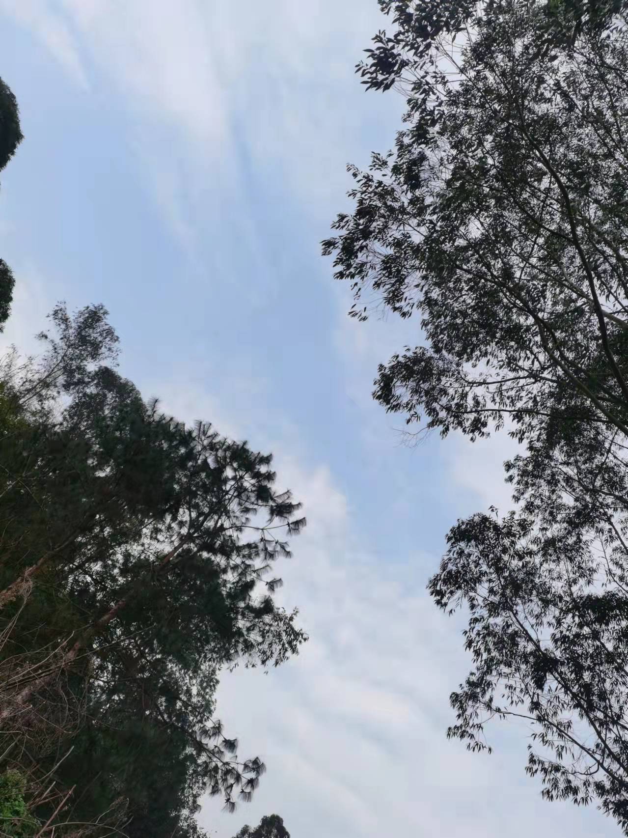 观音湖景区旅行图片 3
