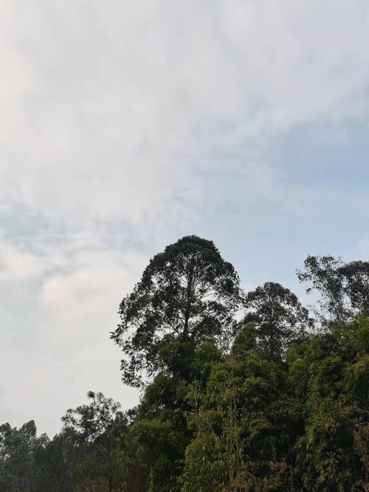 观音湖景区旅行图片 2
