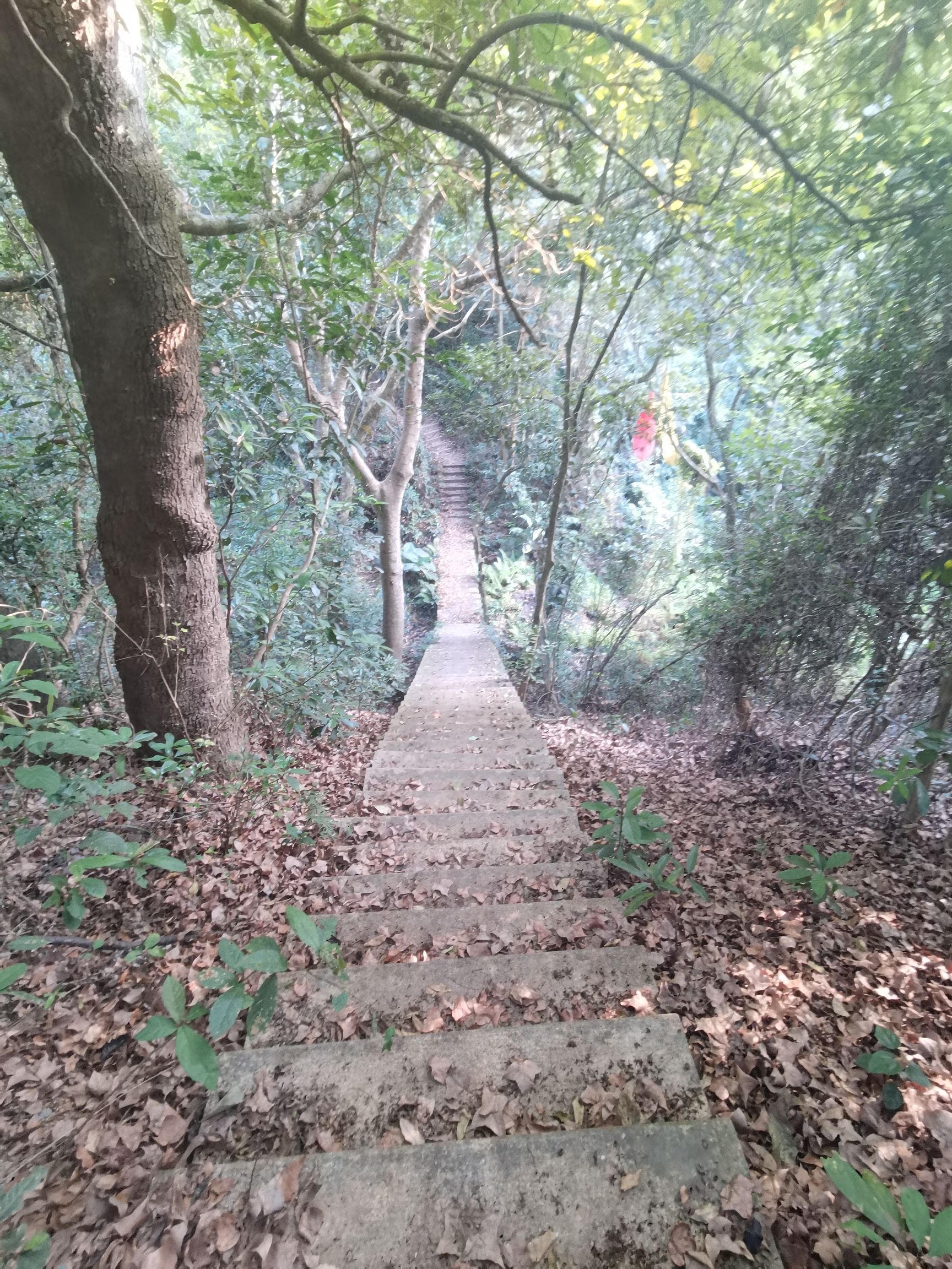 Hello青巽山景区旅行图片 1
