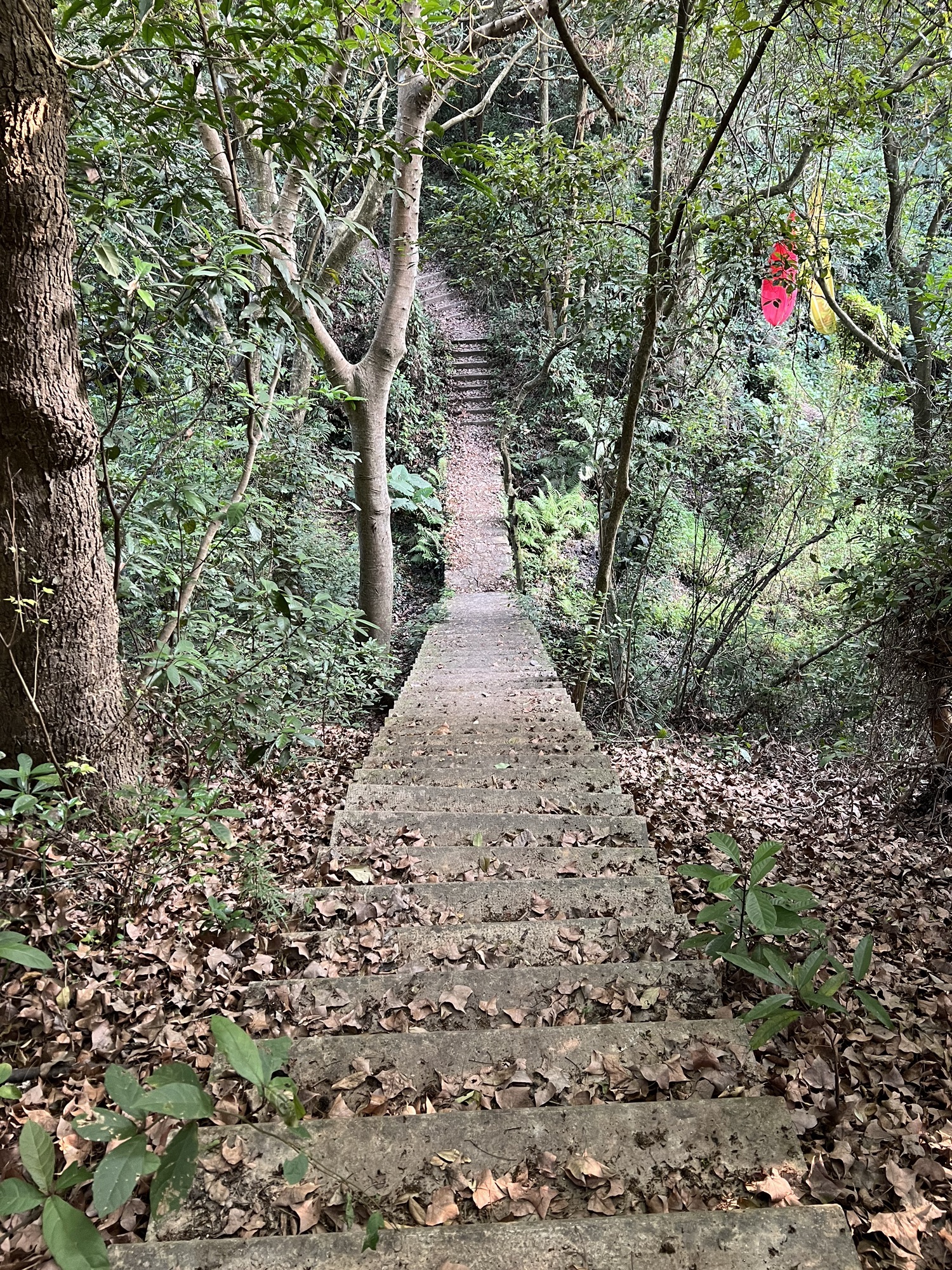 Hello青巽山景区旅行图片 1