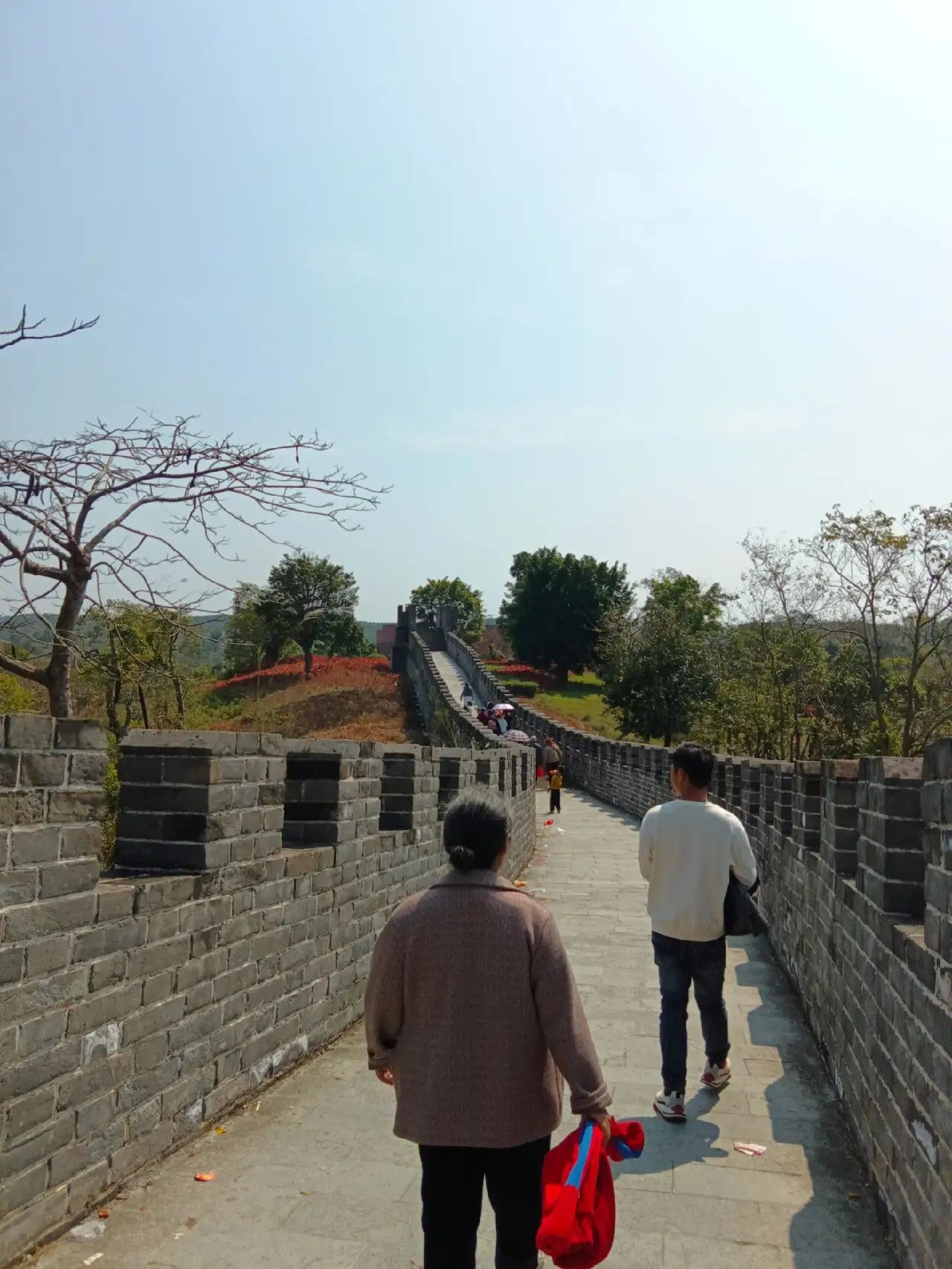 钦州园博园旅行图片 1